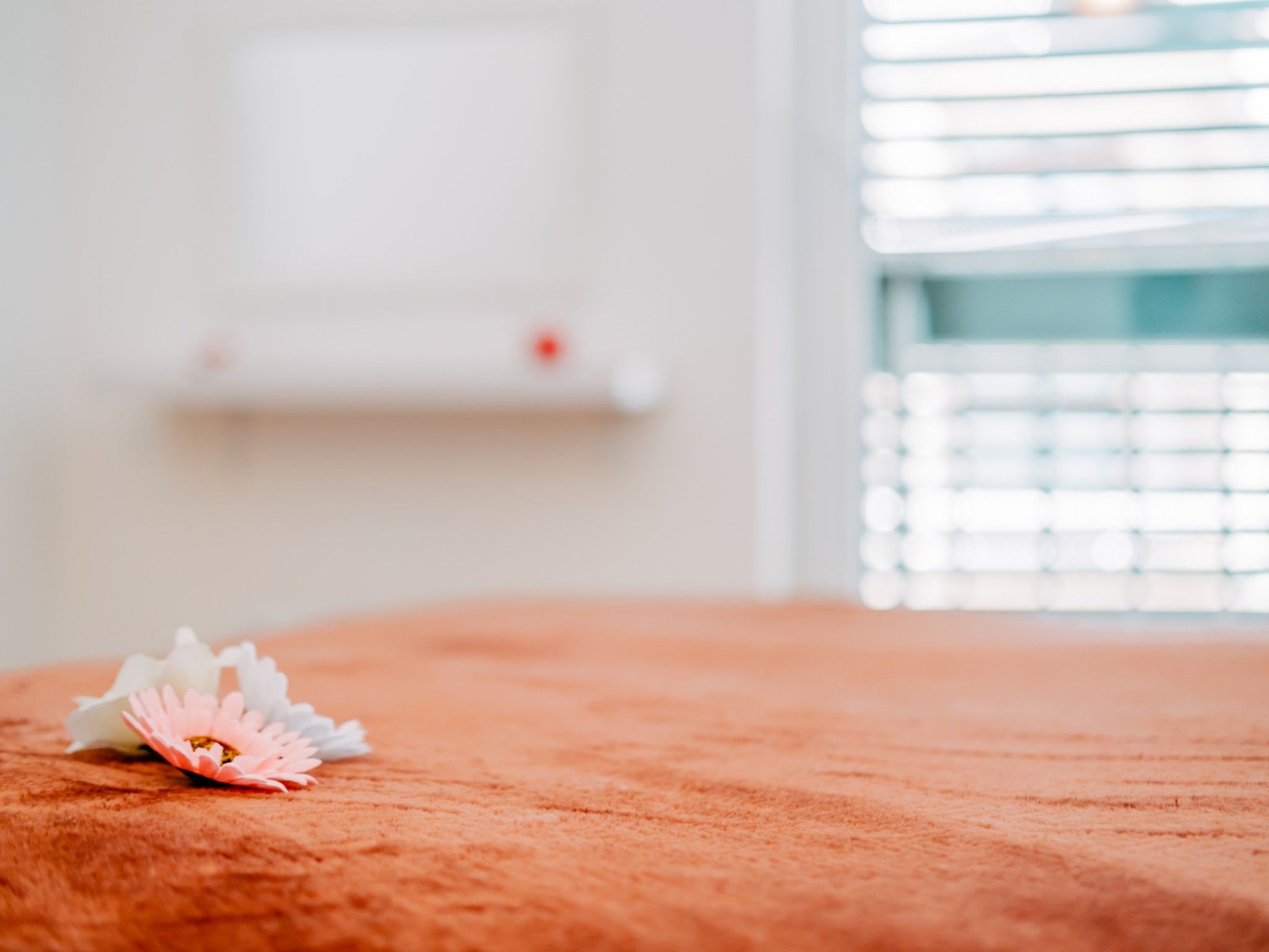 Charmante Ferienwohnung Jagoda - EOS CROATIA-Drinnen