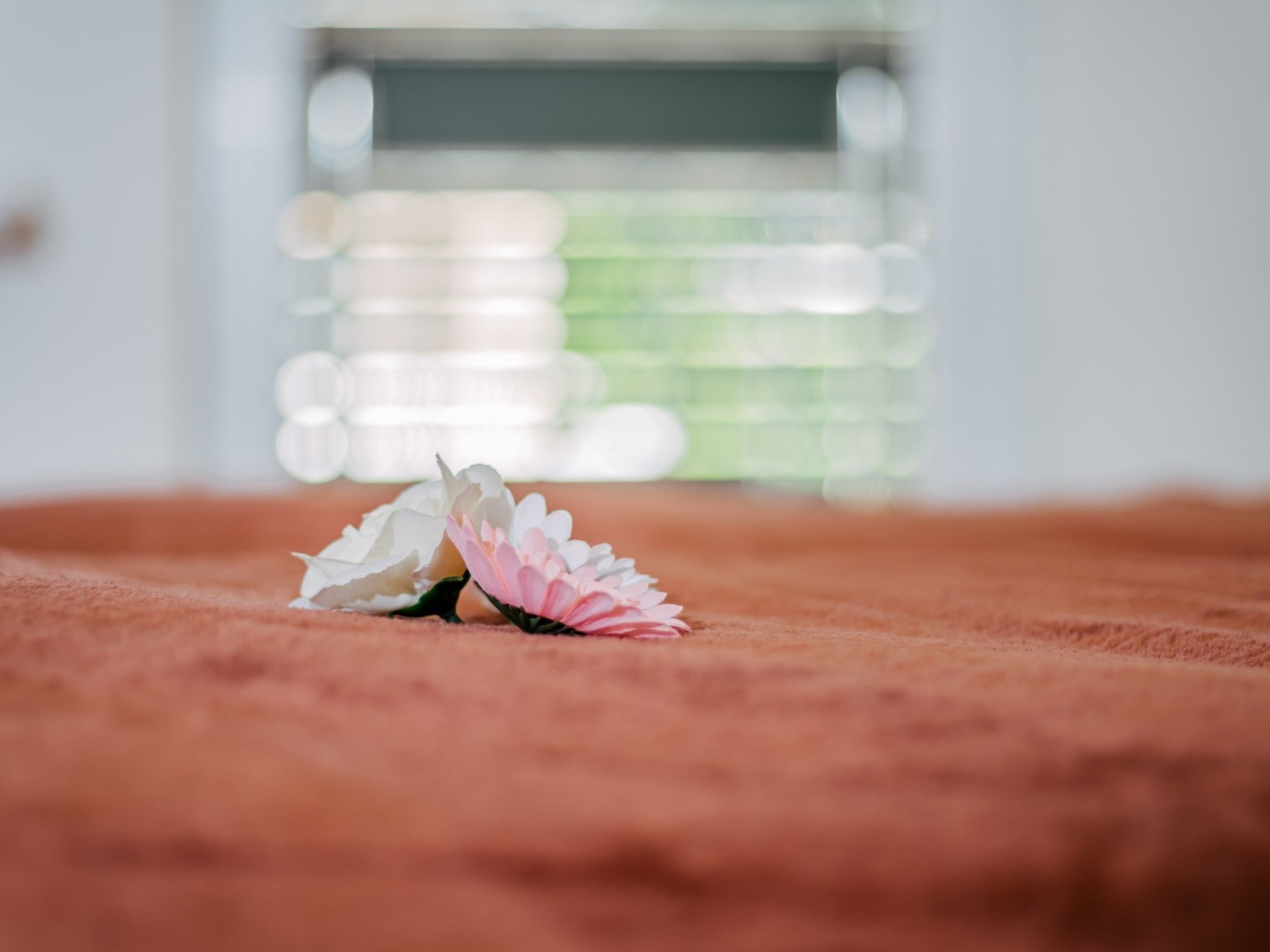 Charmante Ferienwohnung Jagoda - EOS CROATIA-Drinnen