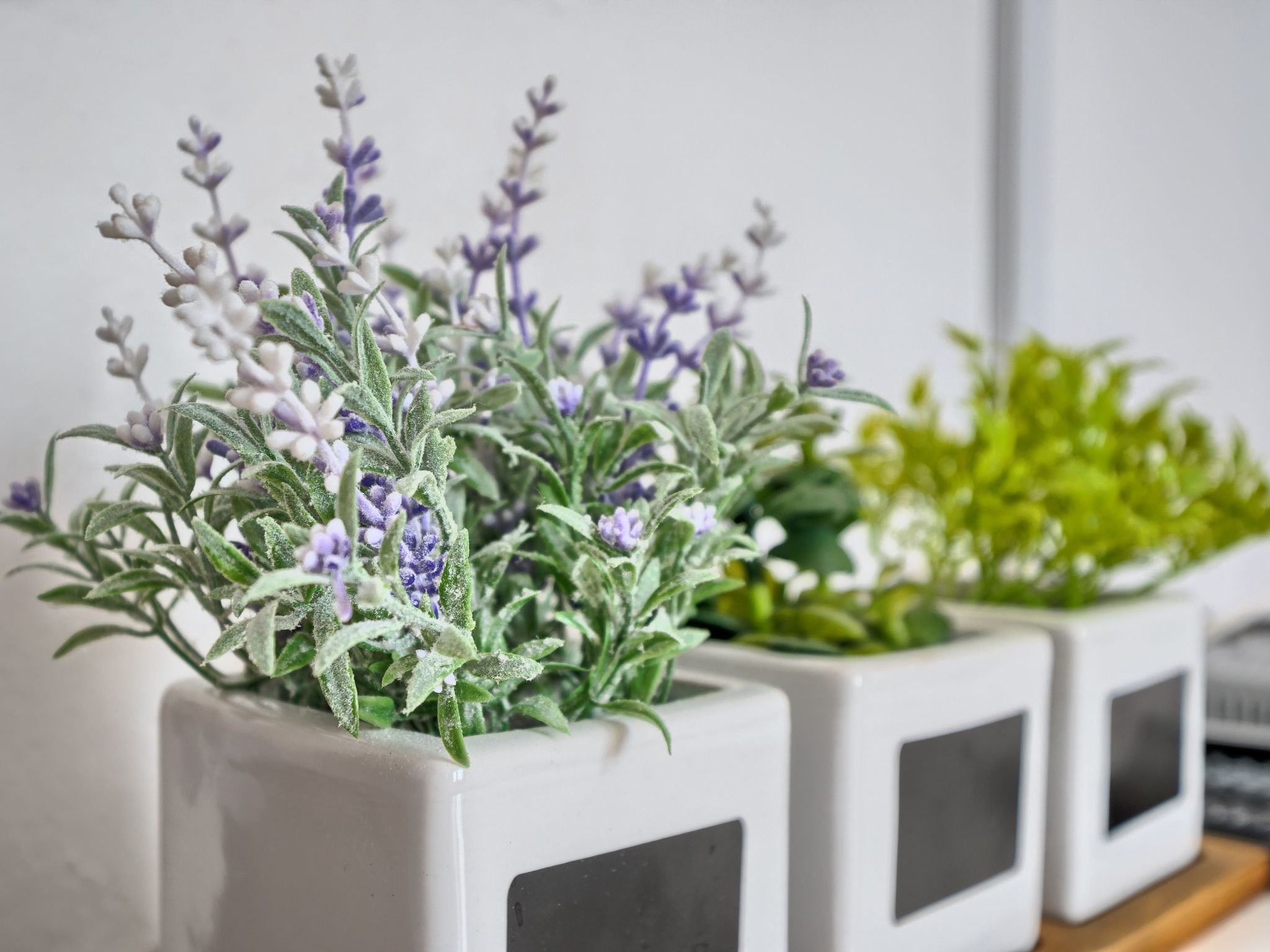 Ticic 1-Image-tags.info