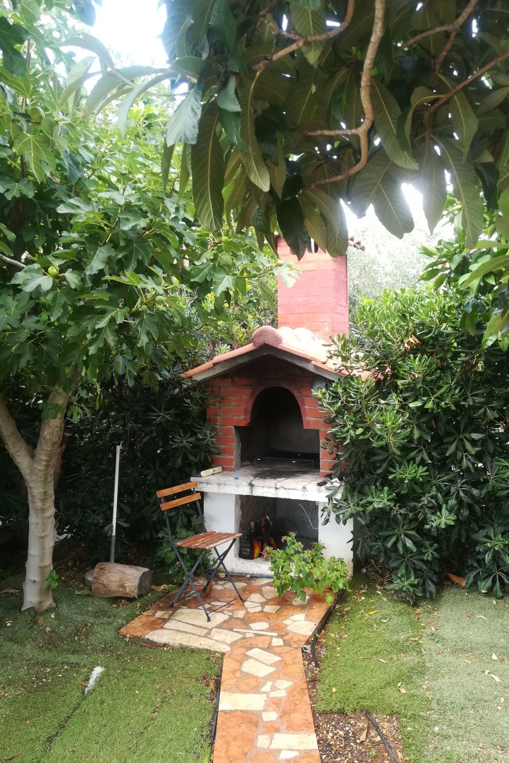 Ticic 1-Image-tags.info