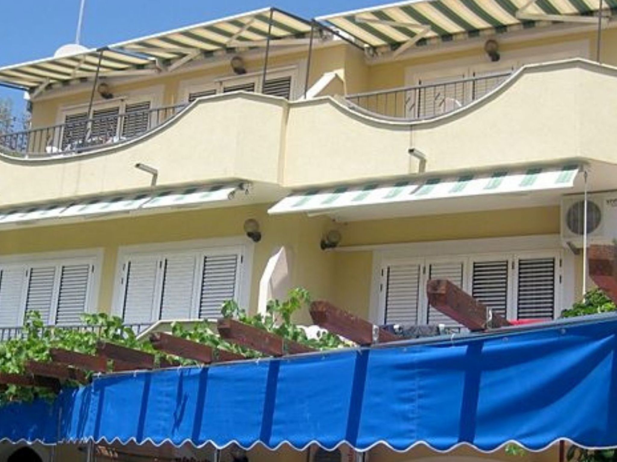 Ticic 1-Image-tags.info