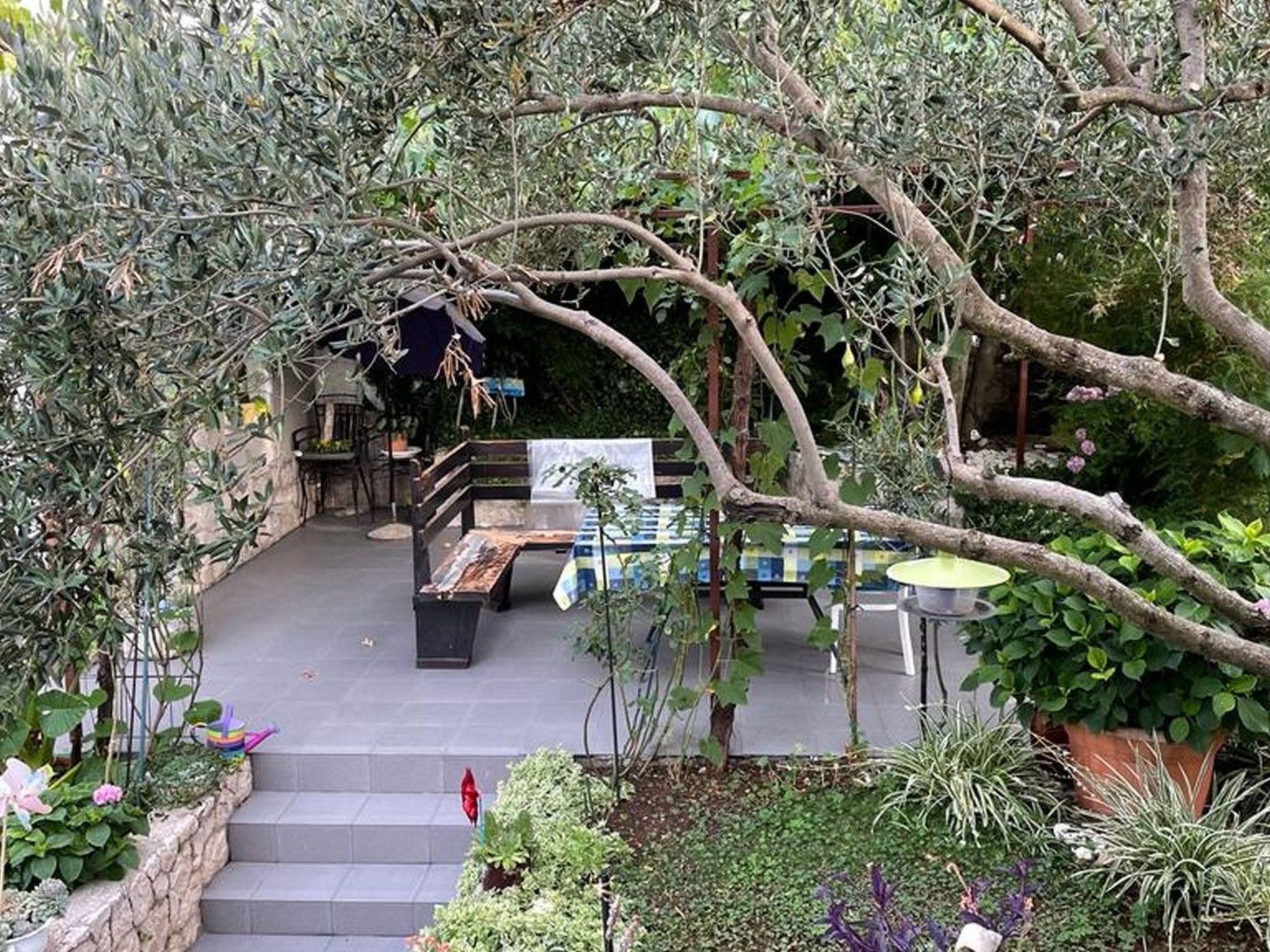 Meerblick-Apartment Jasmine 2 in Strandnähe - Image-tags.info