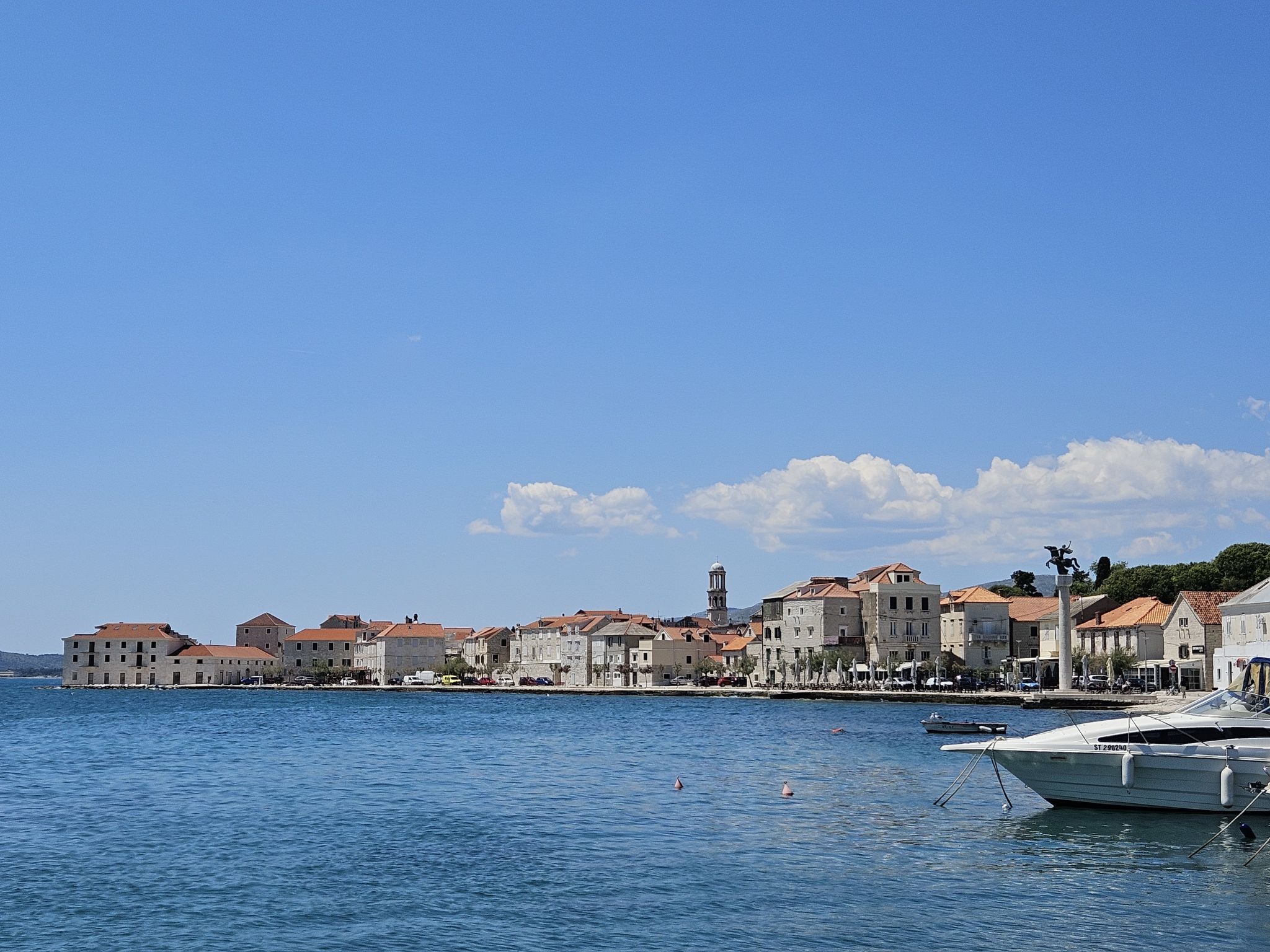 Dalmatica - Area