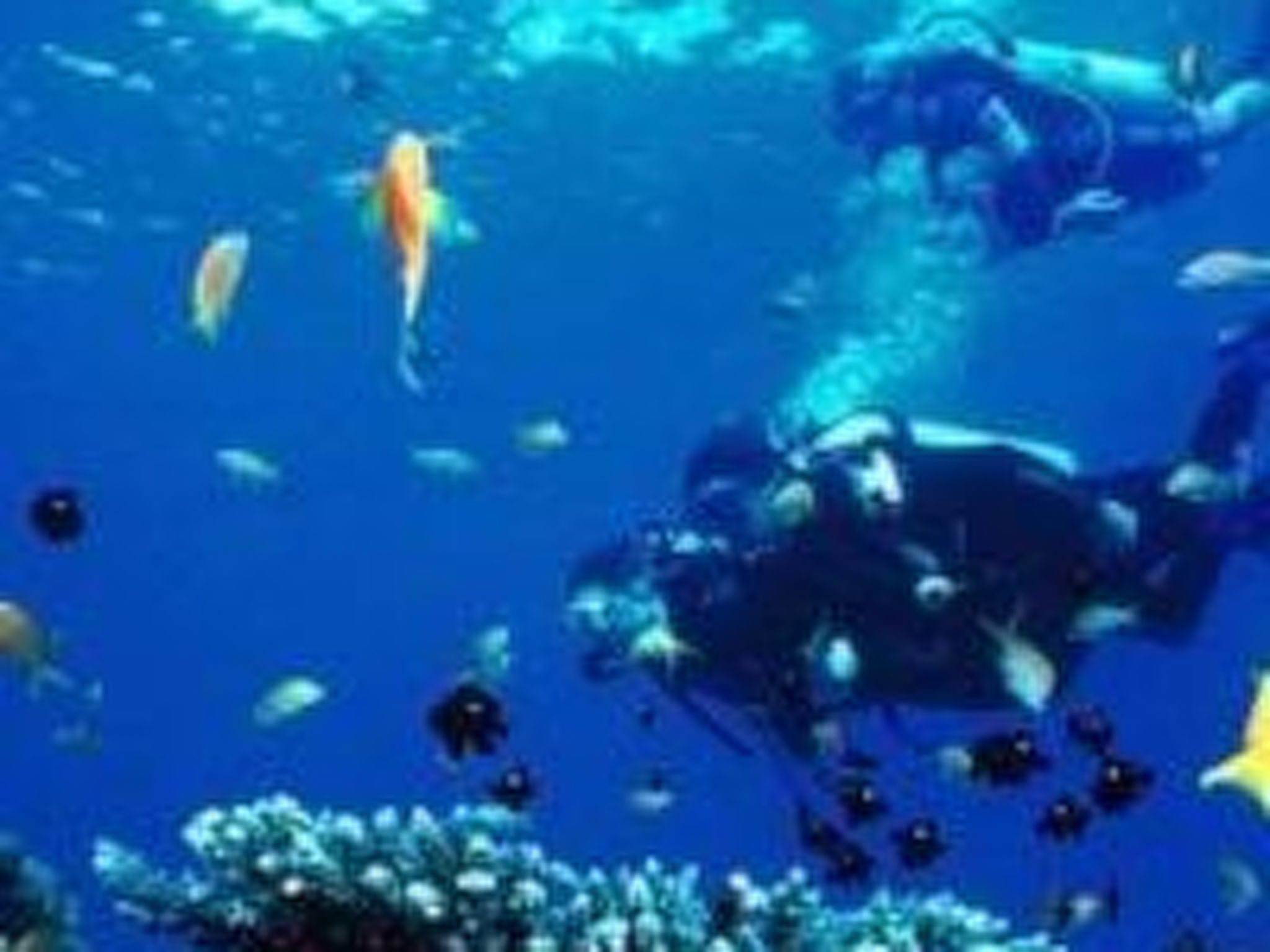 Vinka mit schönem Meerblick-Drinnen