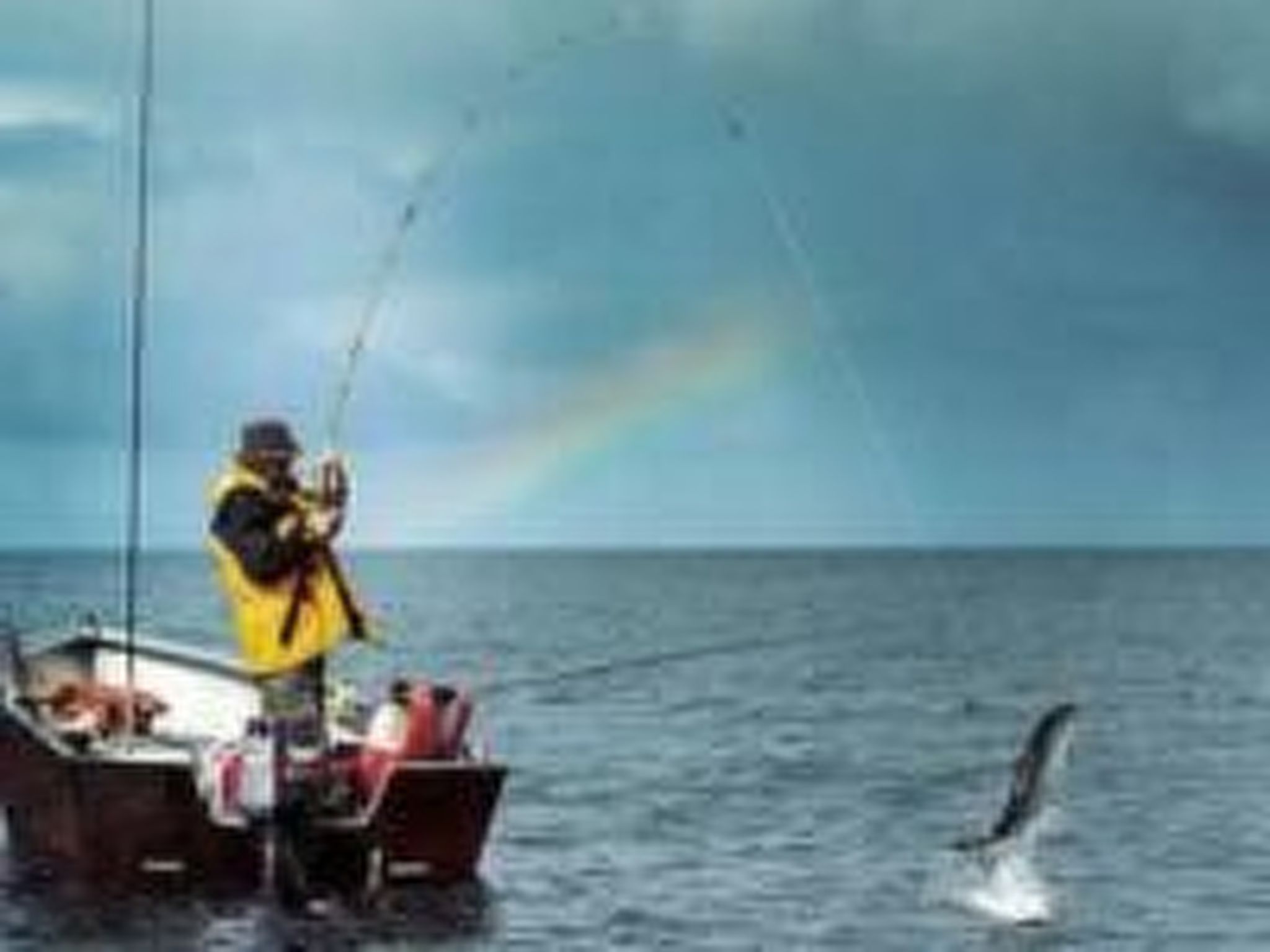 Vinka mit schönem Meerblick