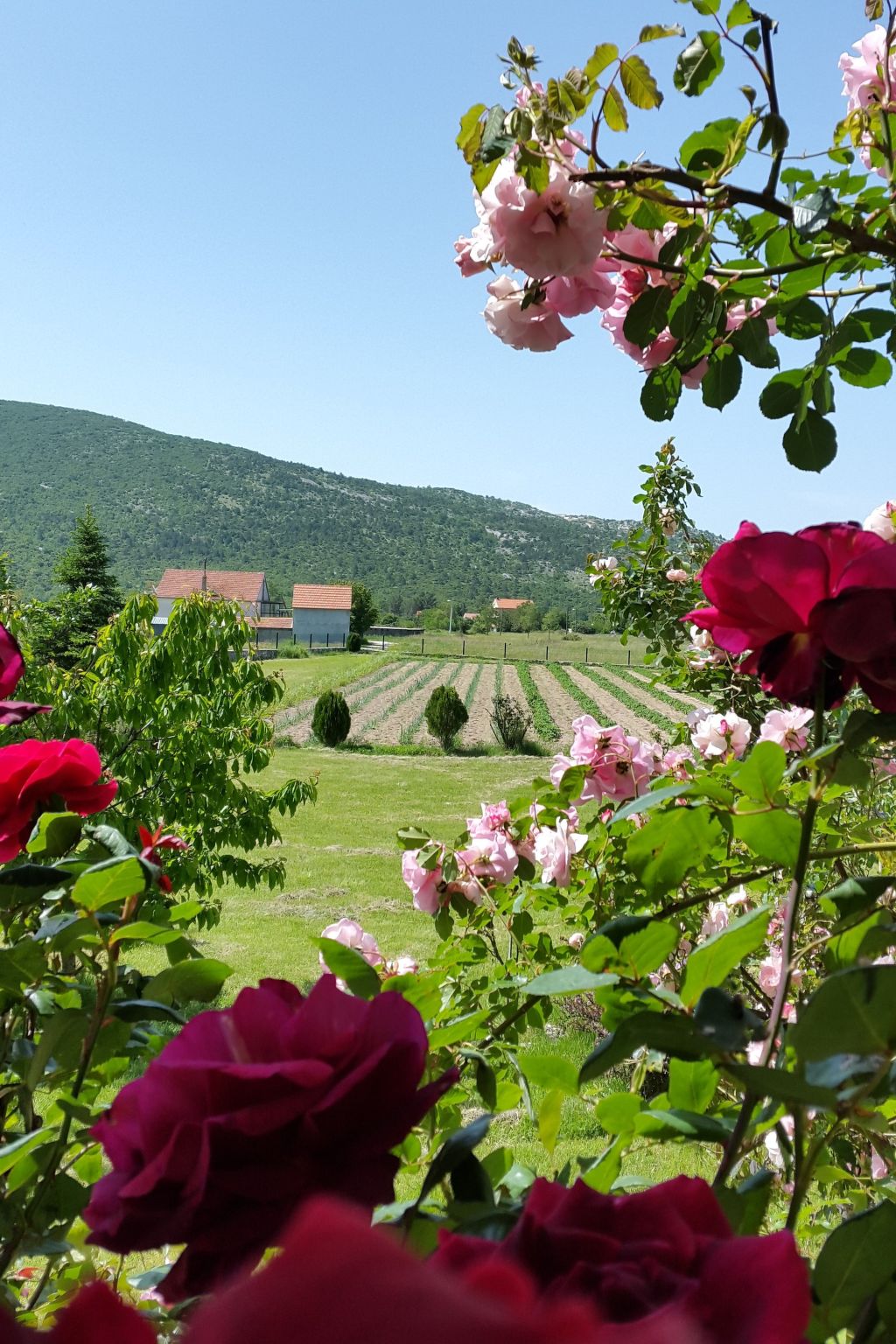 Villa Almas mit Schwimmbad, Fitnessraum, Tennisplatz-Drinnen