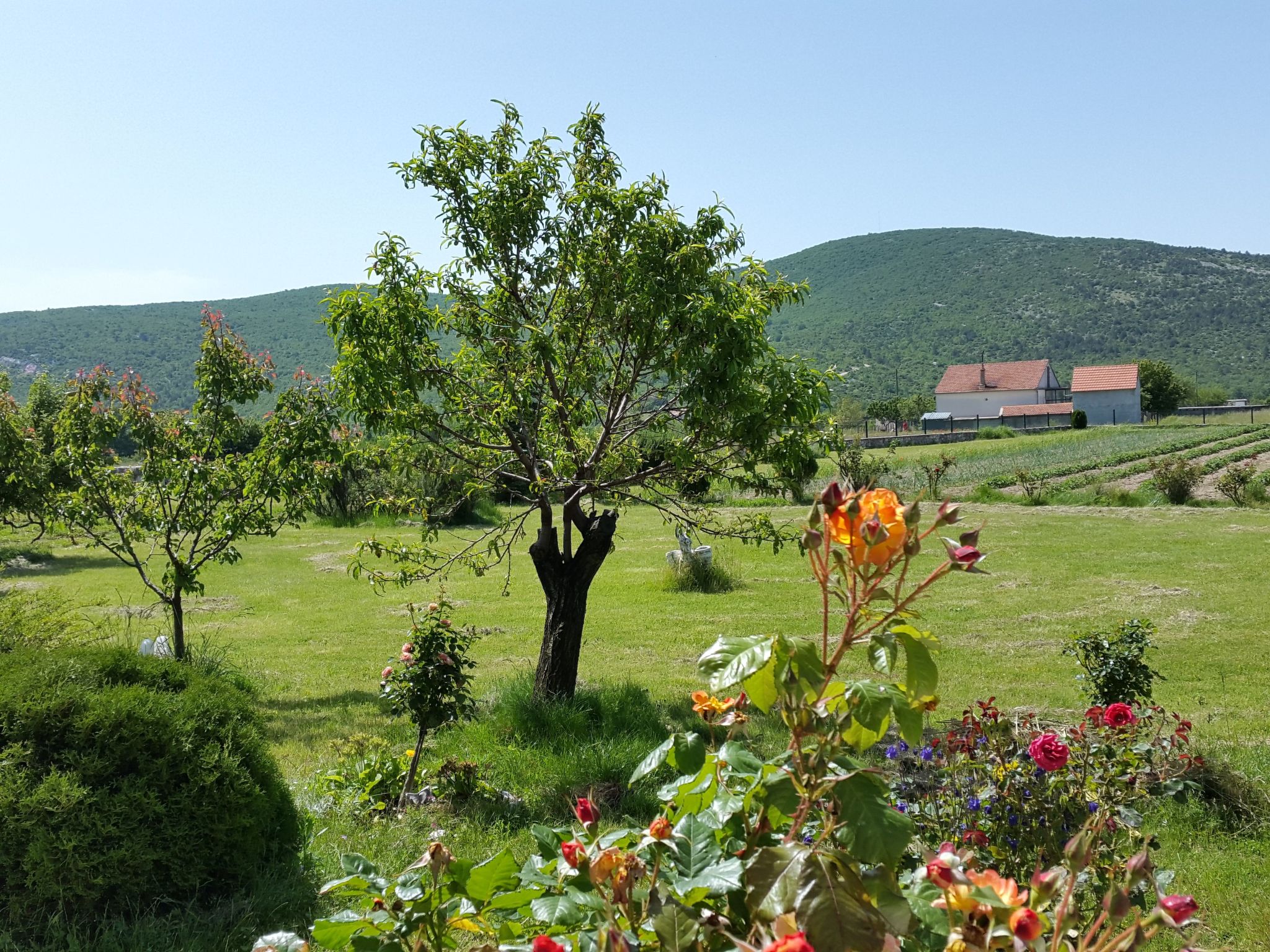 Villa Almas mit Schwimmbad, Fitnessraum, Tennisplatz-Drinnen