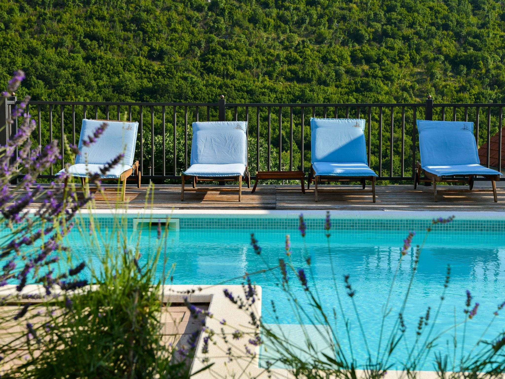 Dalmatinisches Landhaus Martin-Dedans