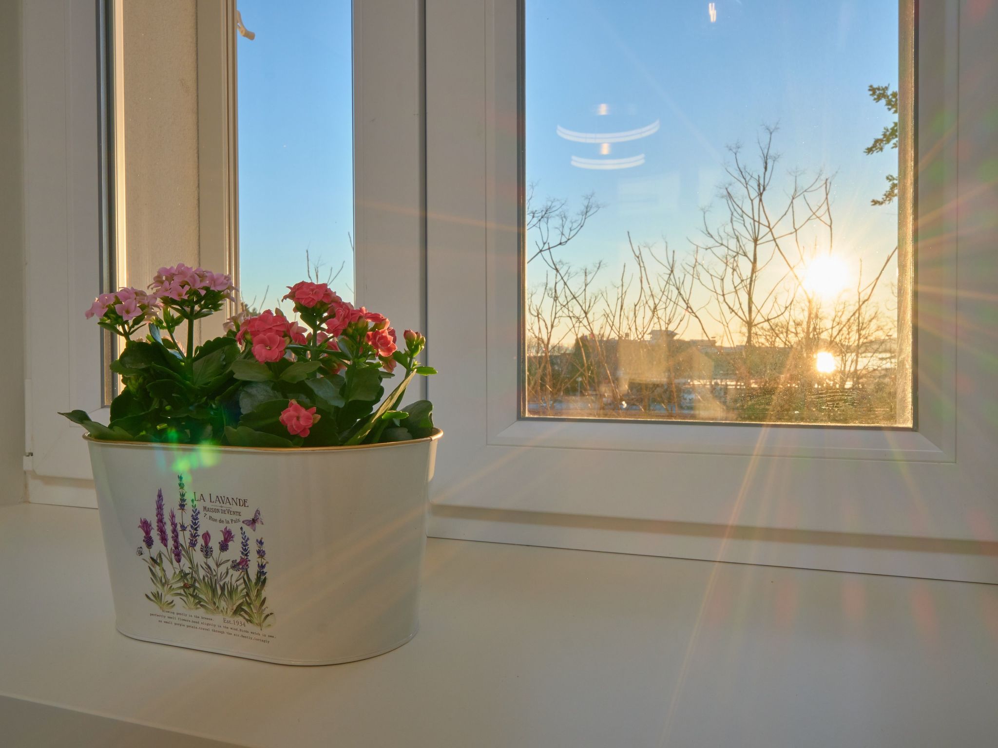 Wohnung "Salve Luxury"-Drinnen