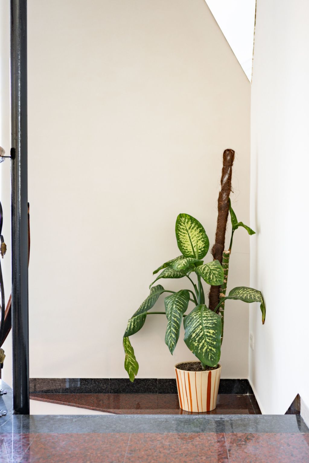 Studio-Wohnung Kleopatra-Dedans