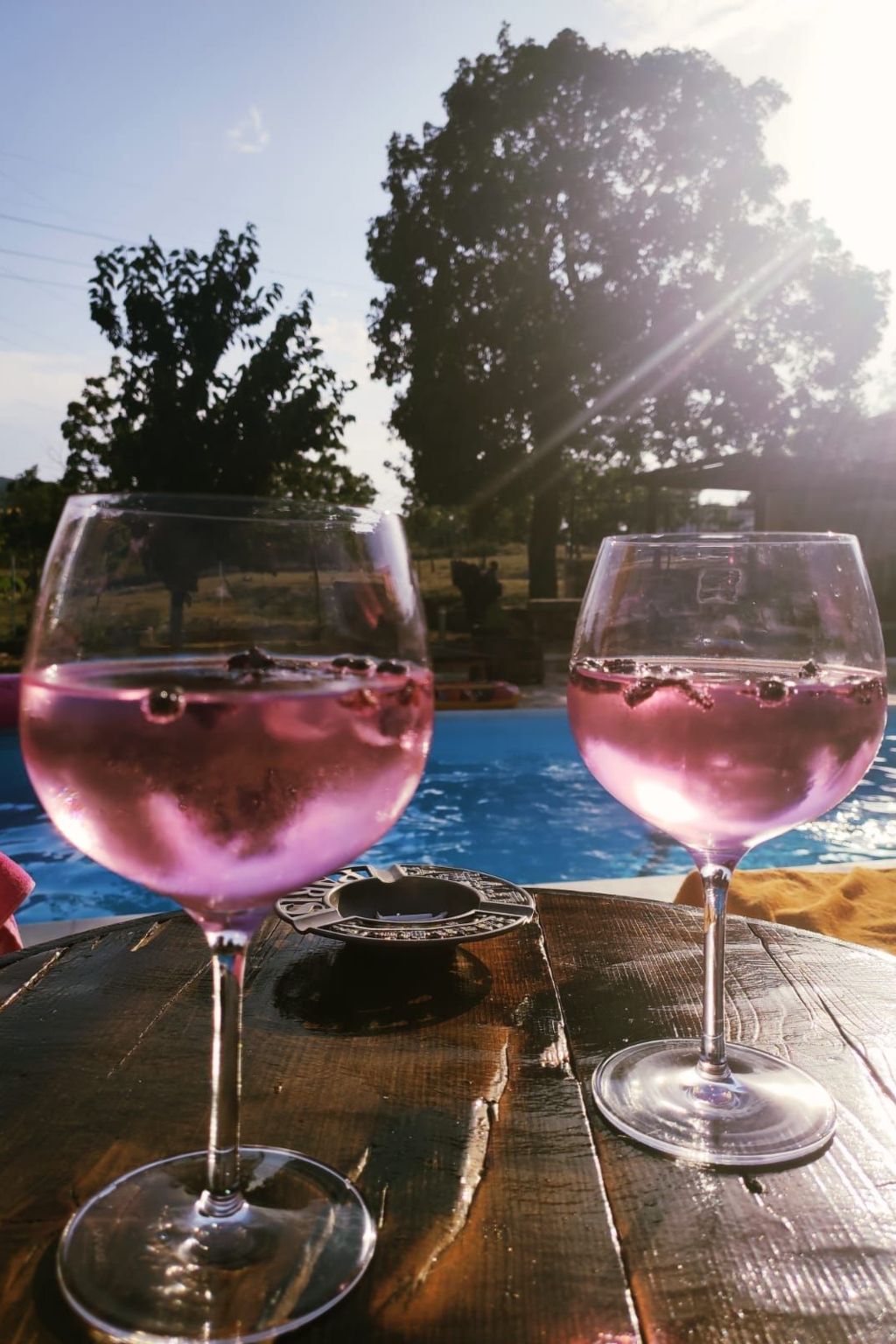 Villa Podrugovi Dvori mit Pool-Inside