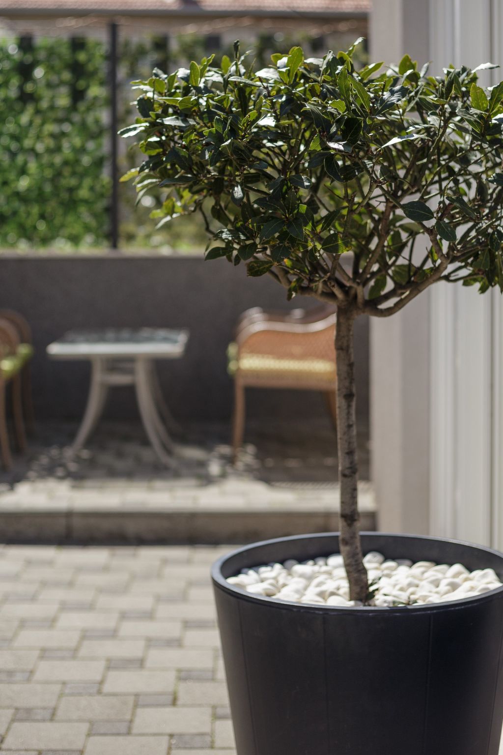 Ruhige Ferienwohnung mit Veranda und Garten-Image-tags.info