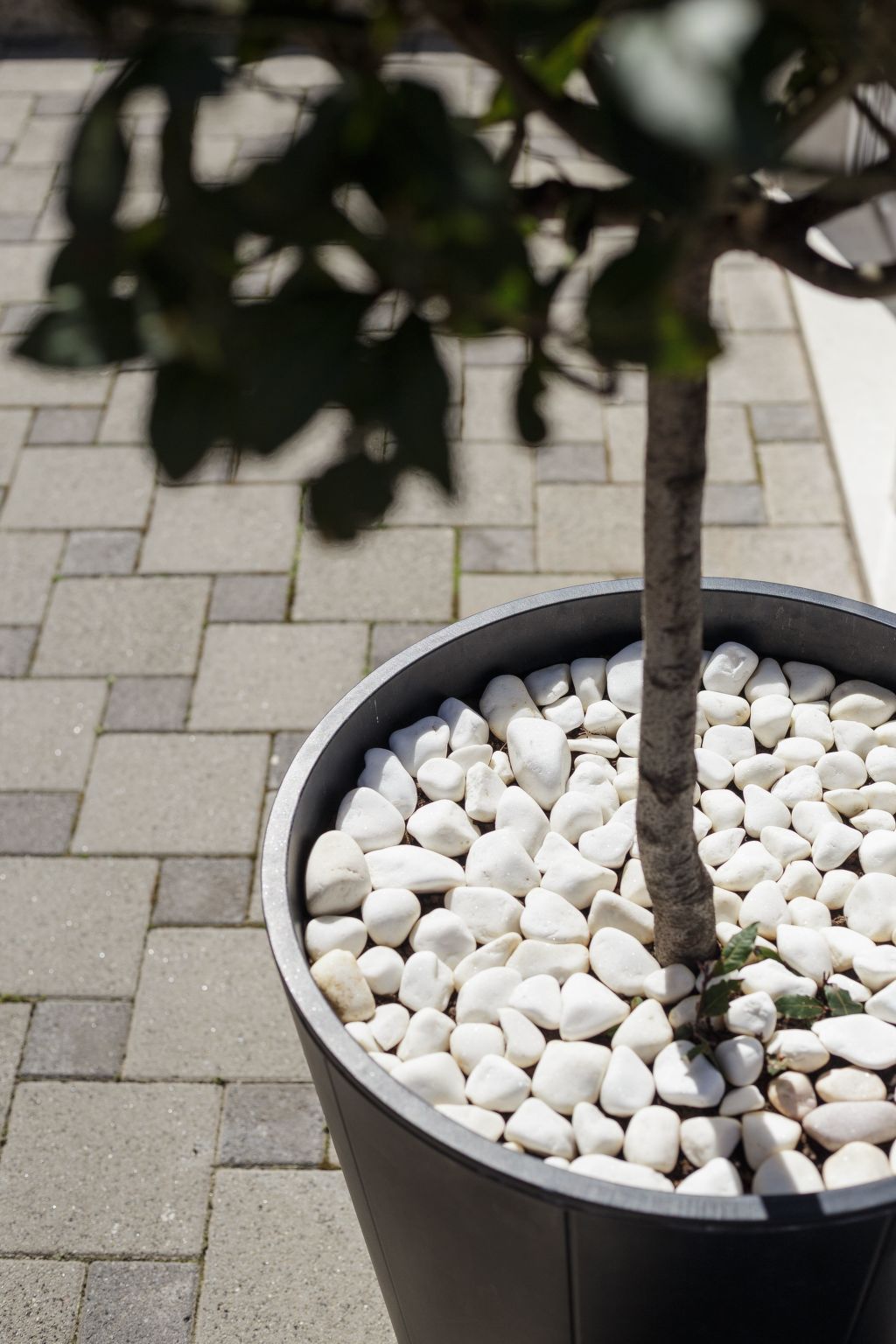 Ruhige Ferienwohnung mit Veranda und Garten-Image-tags.info