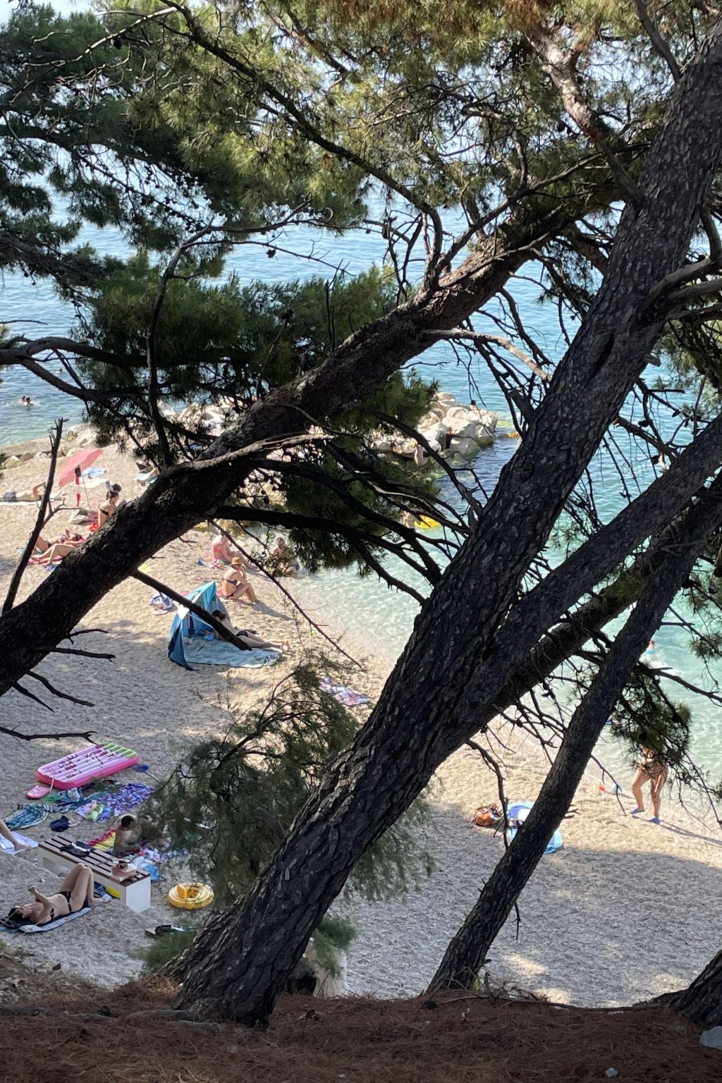 Kinderfreundliches Appartement mit Garten-Dedans