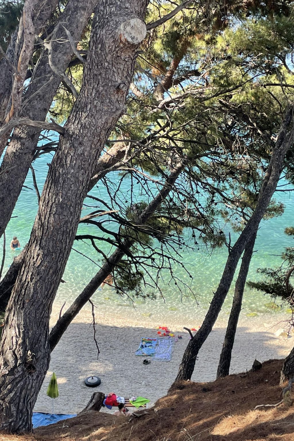 Kinderfreundliches Appartement mit Garten-Dedans