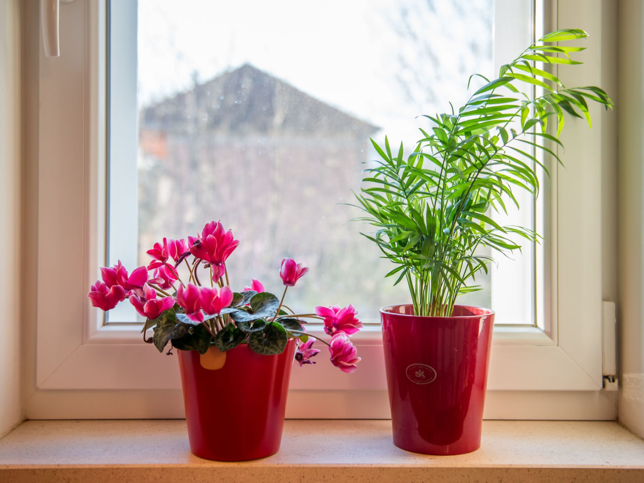 Gemütliches Ferienhaus Mia-Drinnen