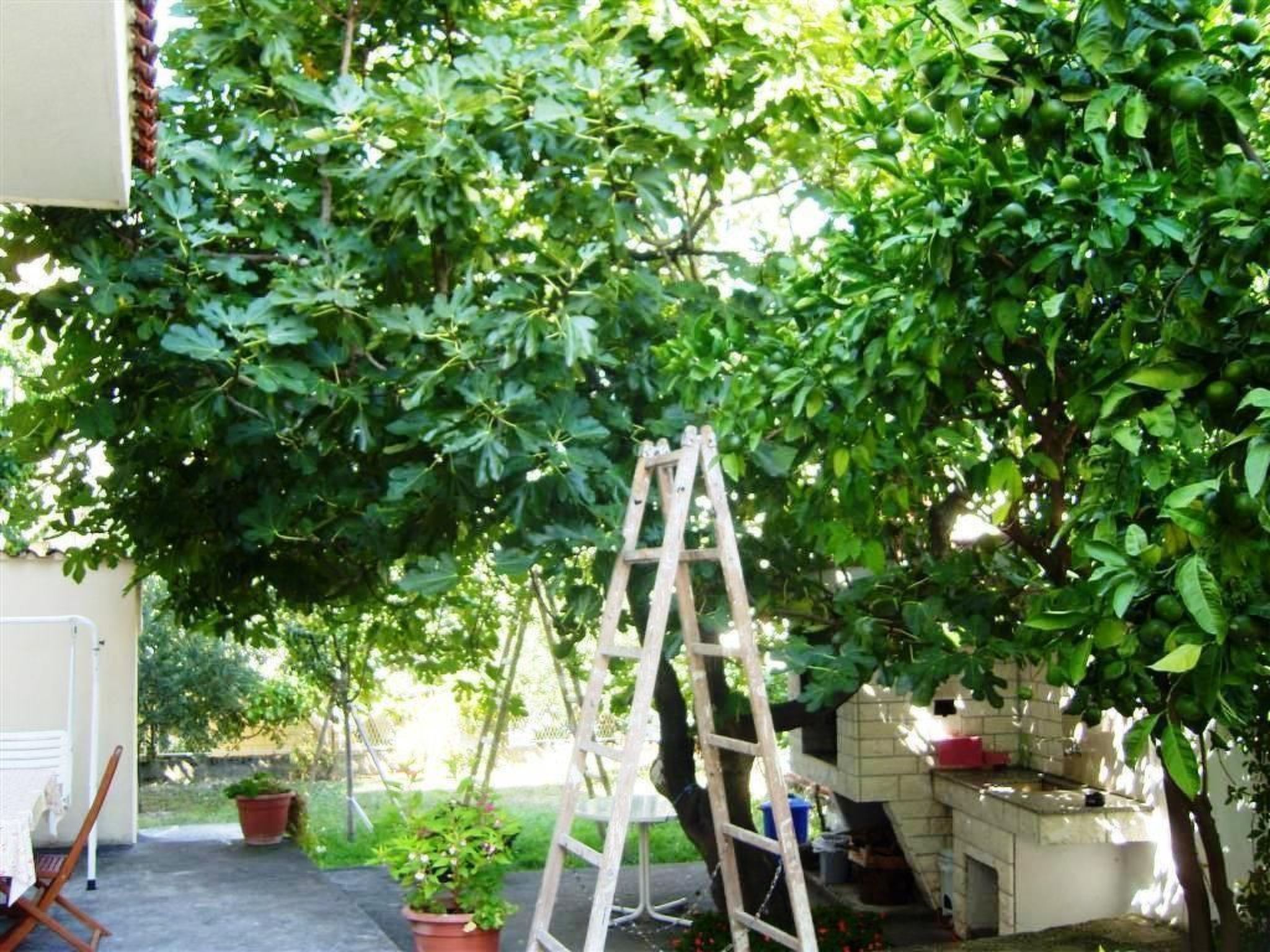 Große Wohnung in Podstrana mit Grill und Terrasse-Image-tags.info