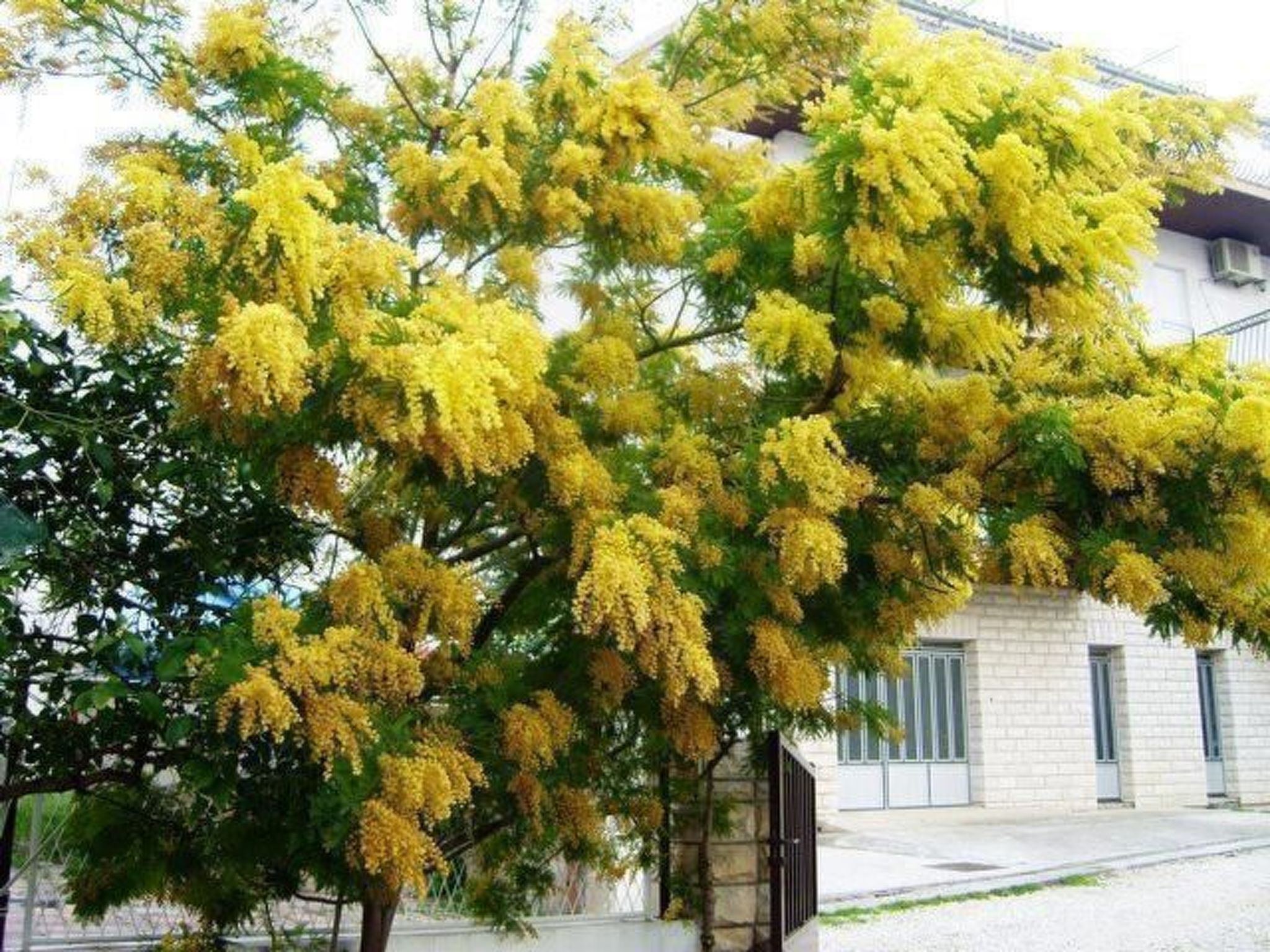 Studio mit Balkon für zwei Personen-Image-tags.info