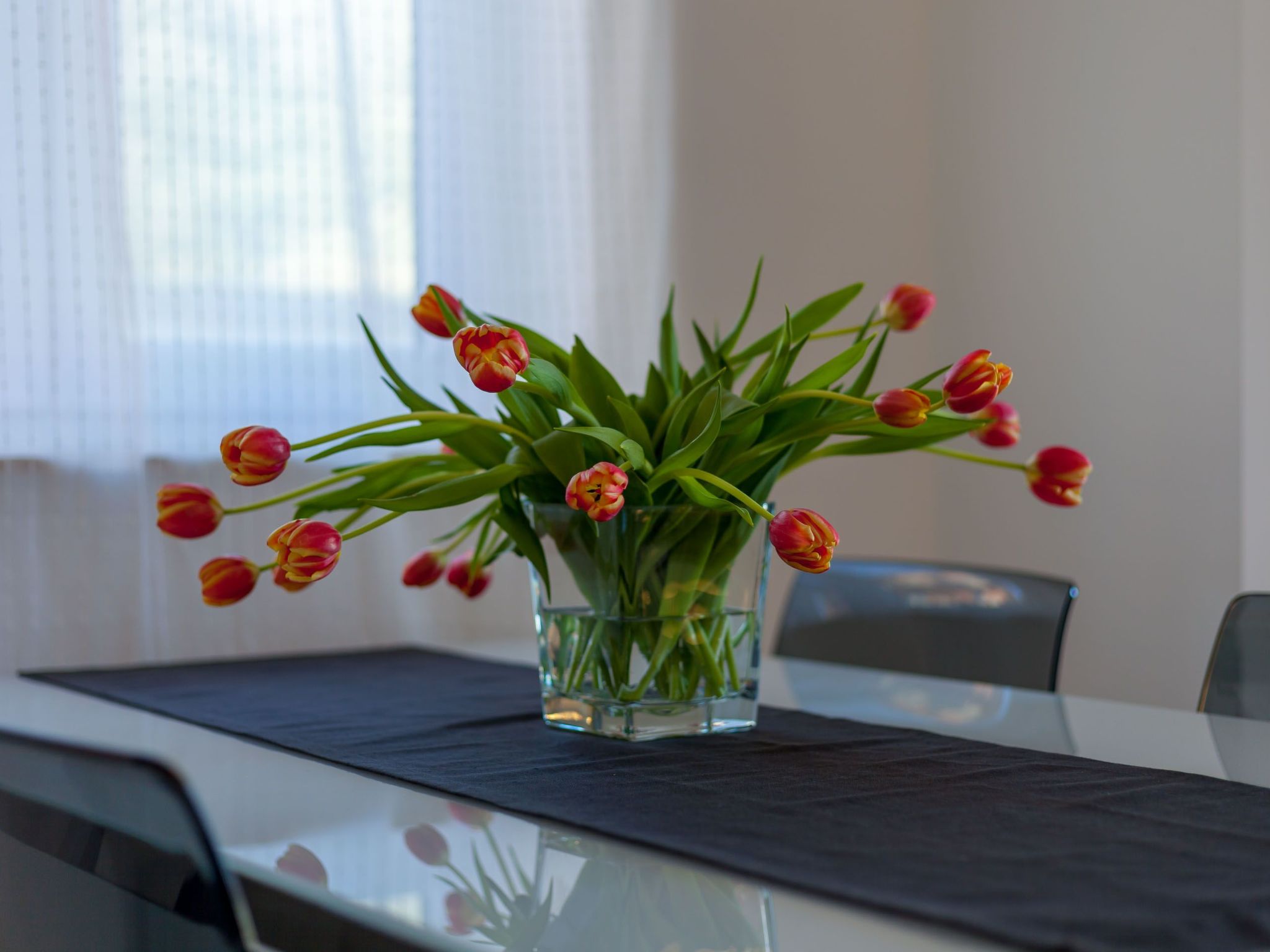 Für 4 Personen ca. 46 m&sup2; in Podstrana, Dalmatien (Gespanschaft Split-Dalma-Inside