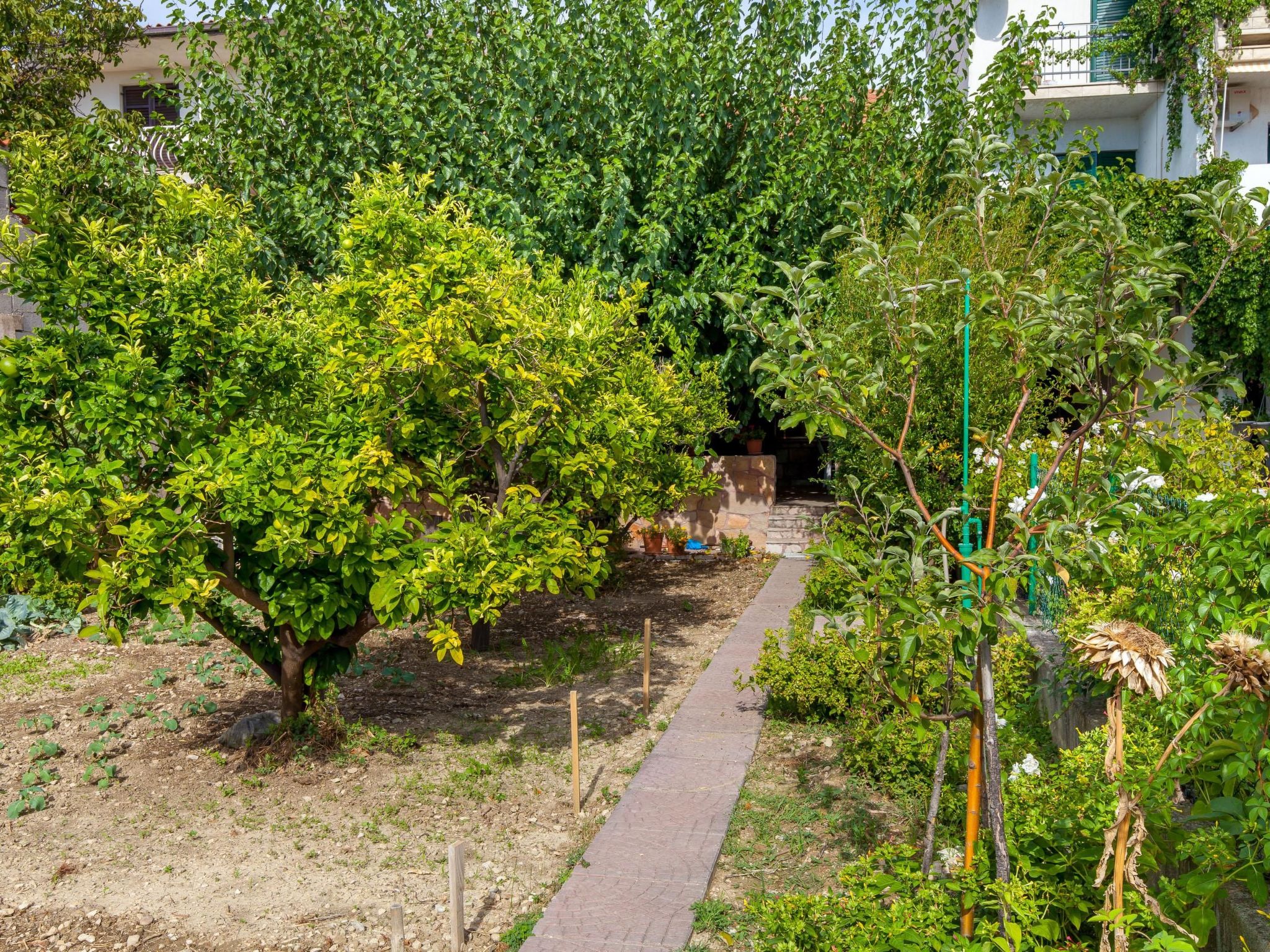 Maric mit Terrasse und Balkon-Dedans