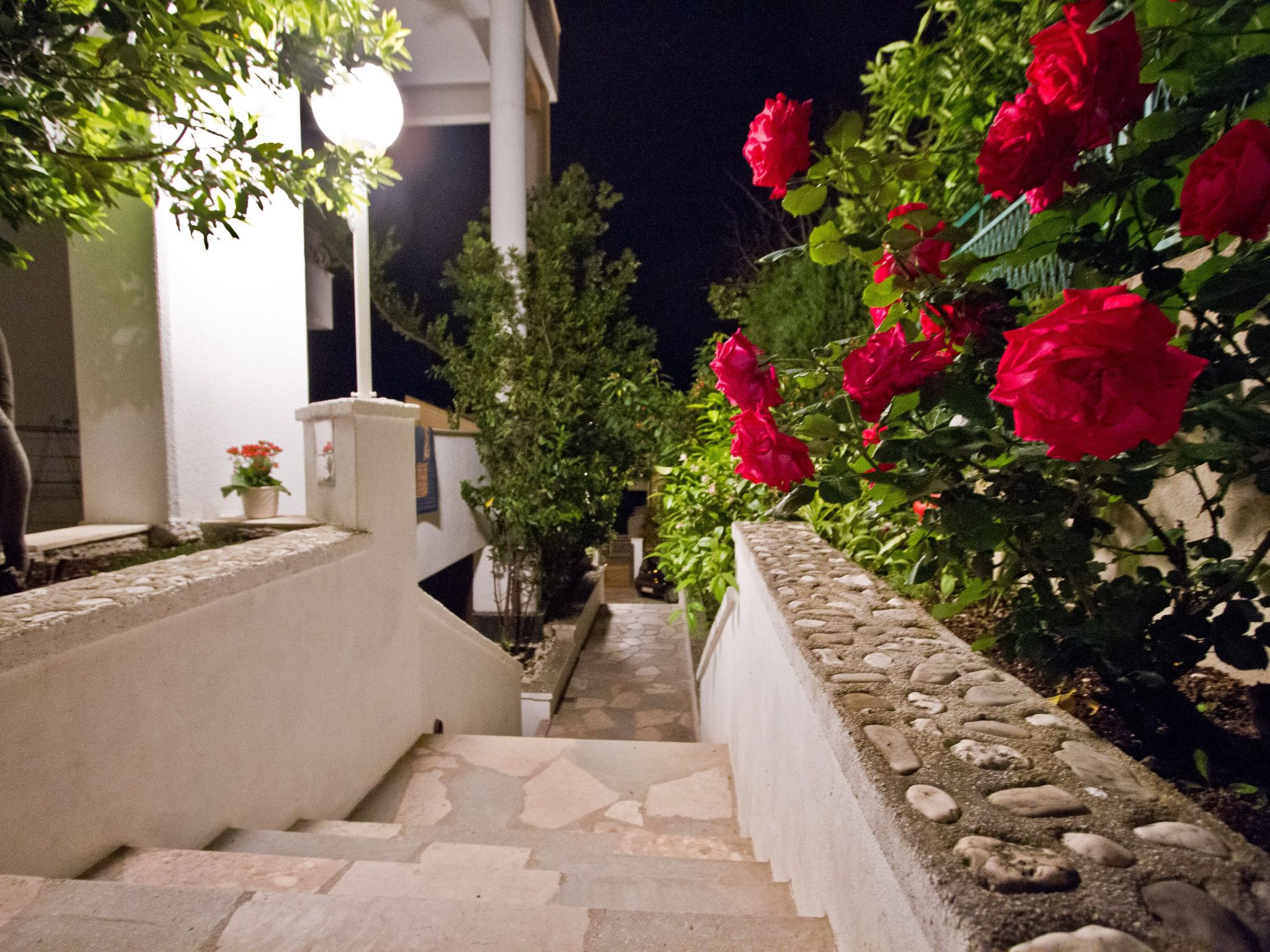 Charmantes Ferienhaus mit grünem Garten-Draußen