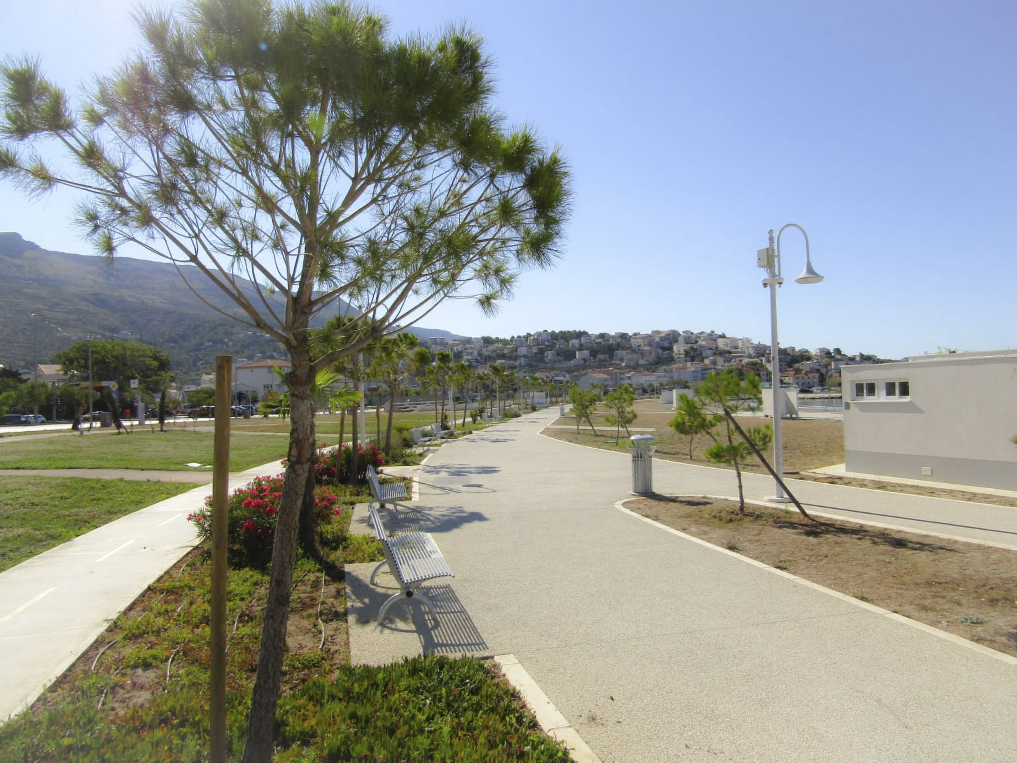 "Split Area Apartment"-Dedans