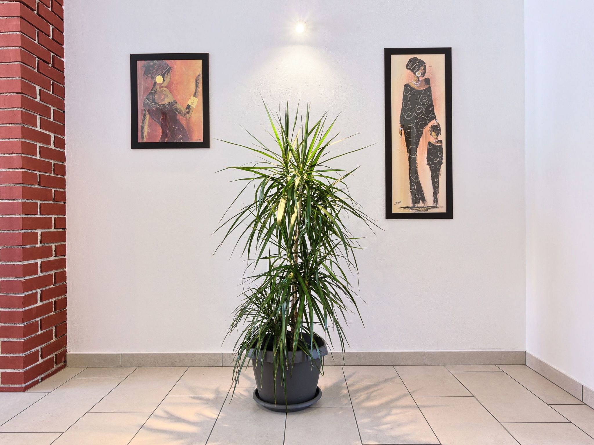 "Split Area Apartment"-Dedans