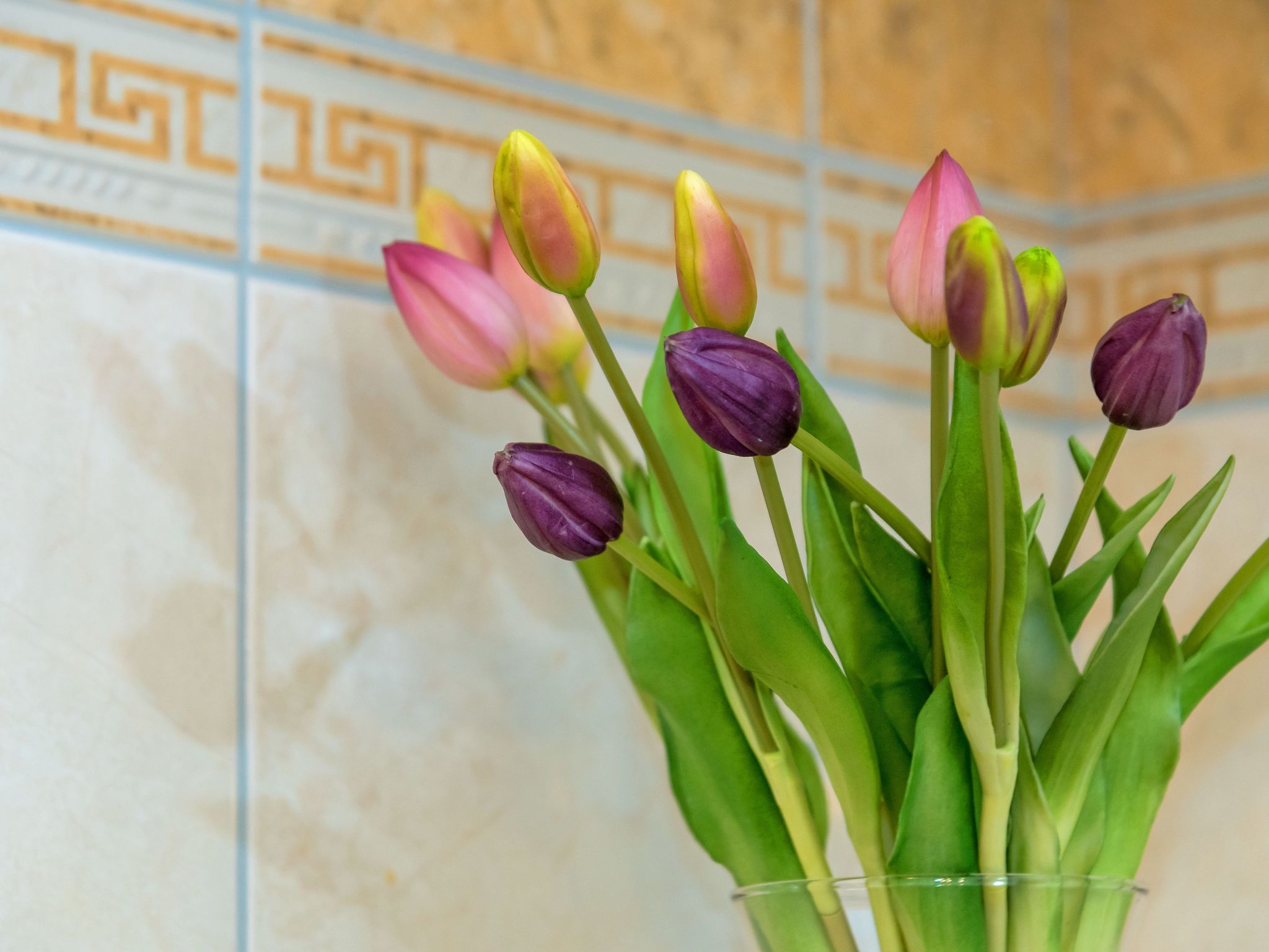 Villa Aquarius-Dedans