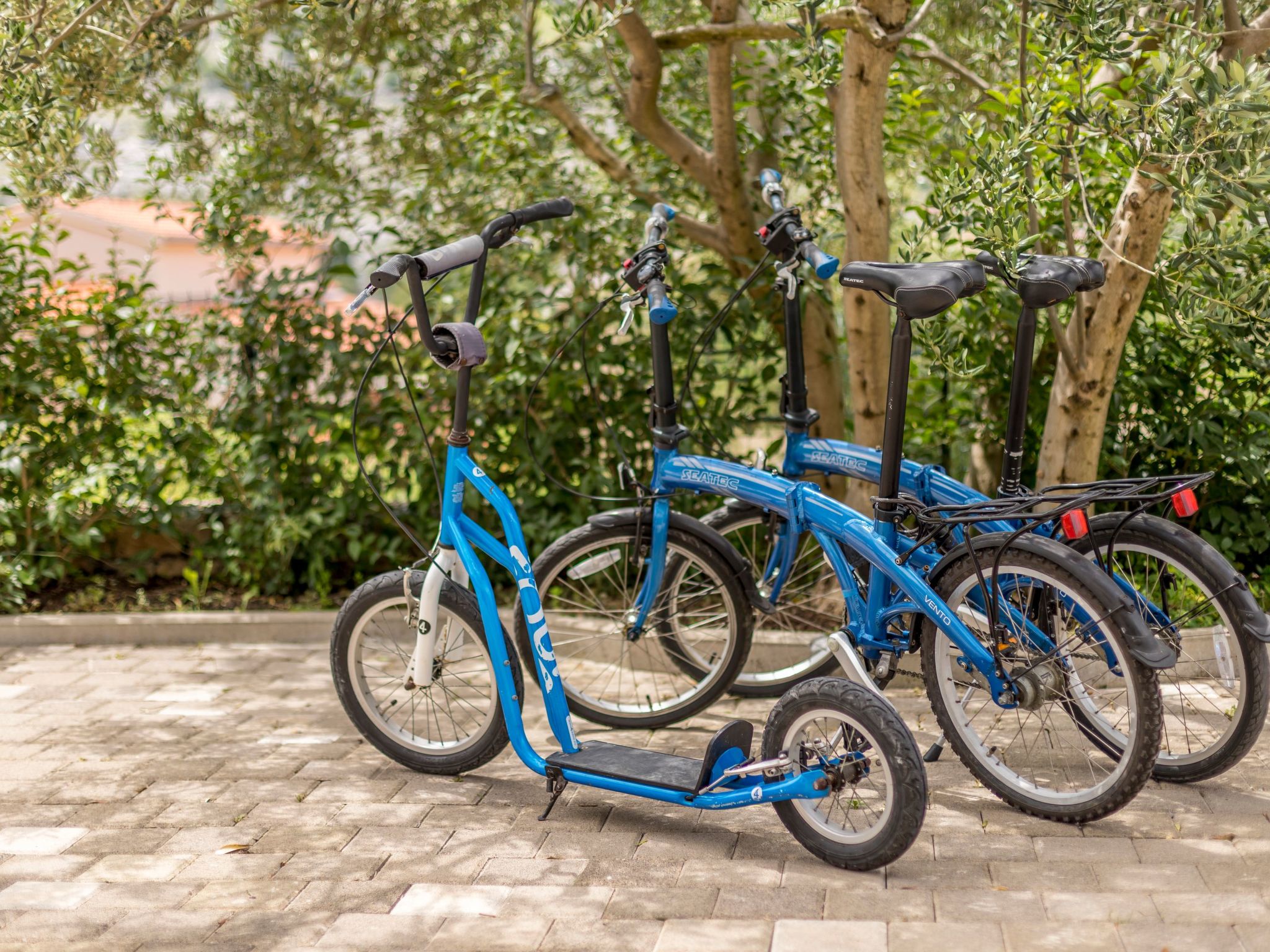 Ferienvilla "Paradies auf Erden"-Dedans