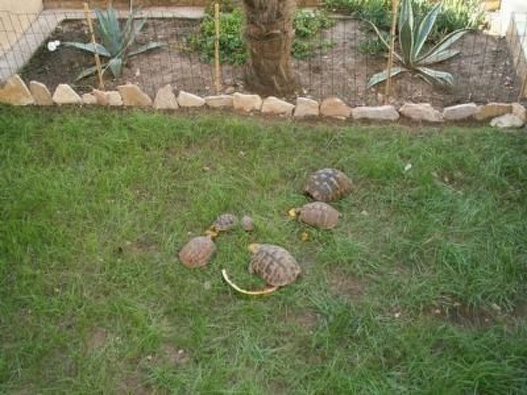 Villa Dusanka-Binnen