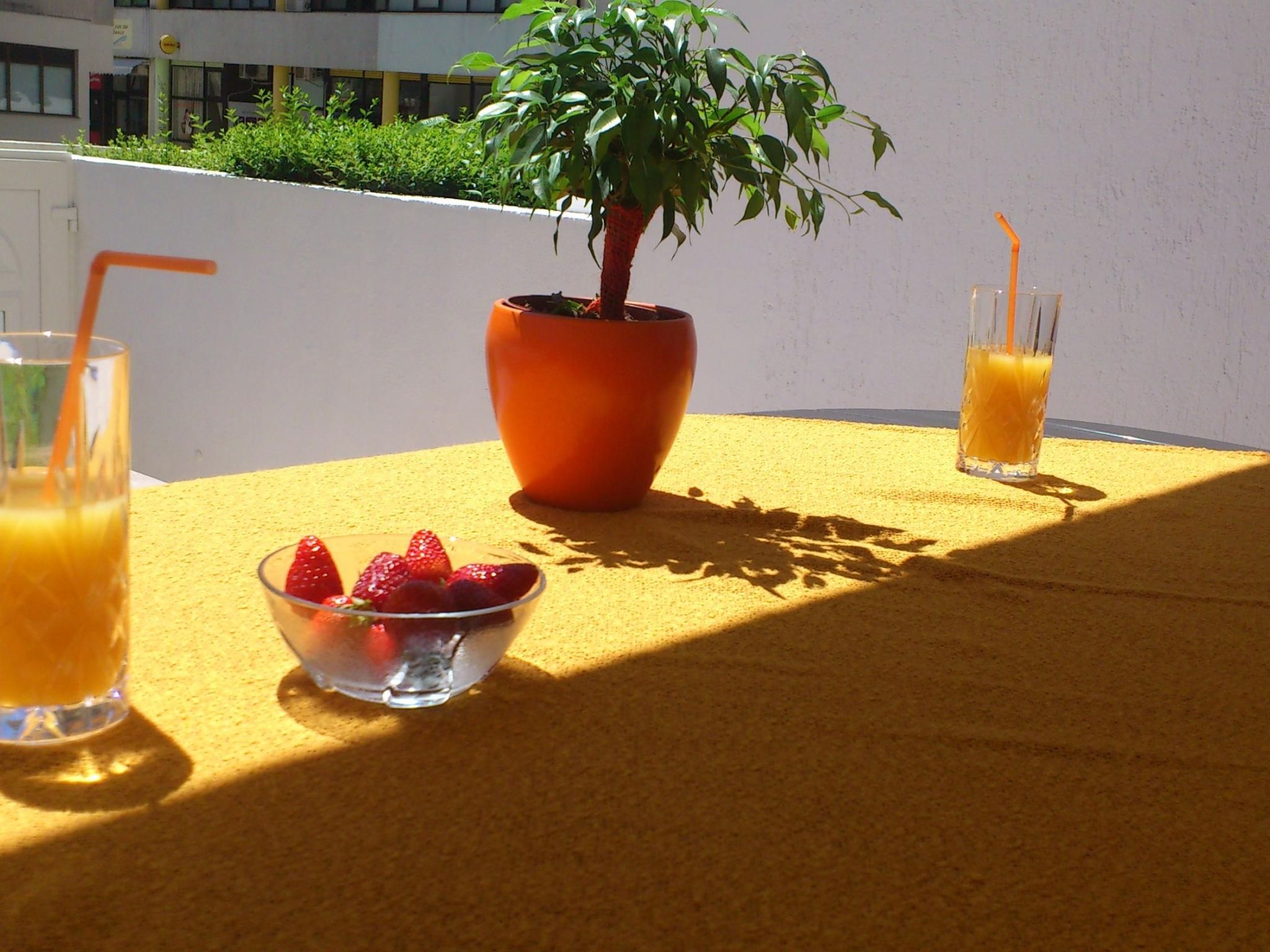 Moderne Ferienwohnung in Omiš mit Terrasse und Garten-Dedans