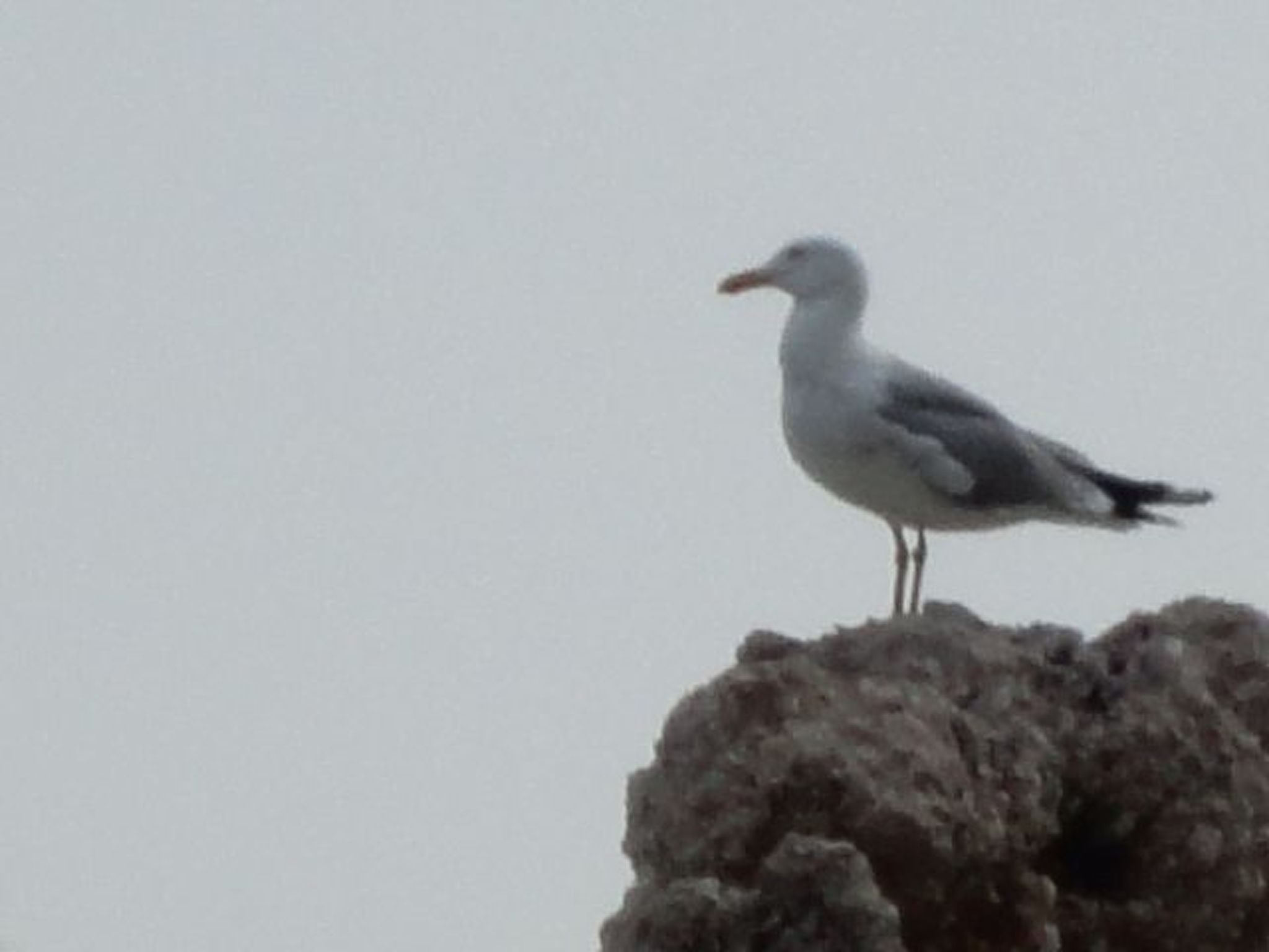 Appartement mit Blick auf das Wasser-Image-tags.info