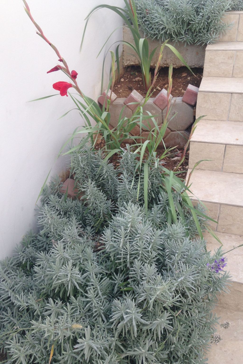 Appartement mit Blick auf das Wasser-Image-tags.info