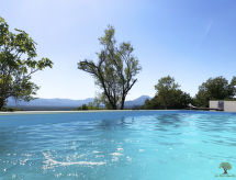 La Finca OliveTree