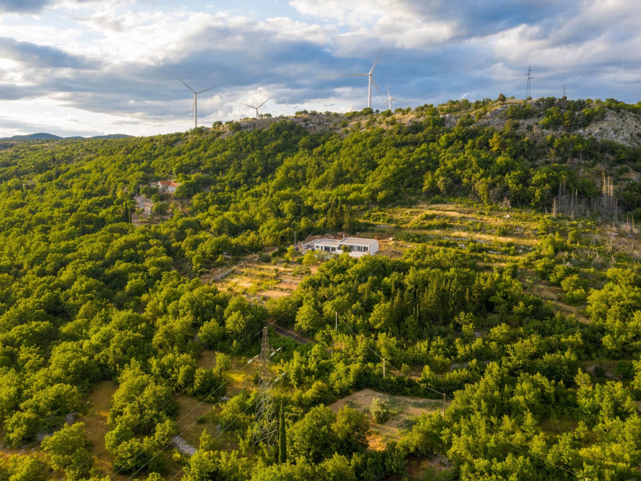 La Finca OliveTree-Binnen