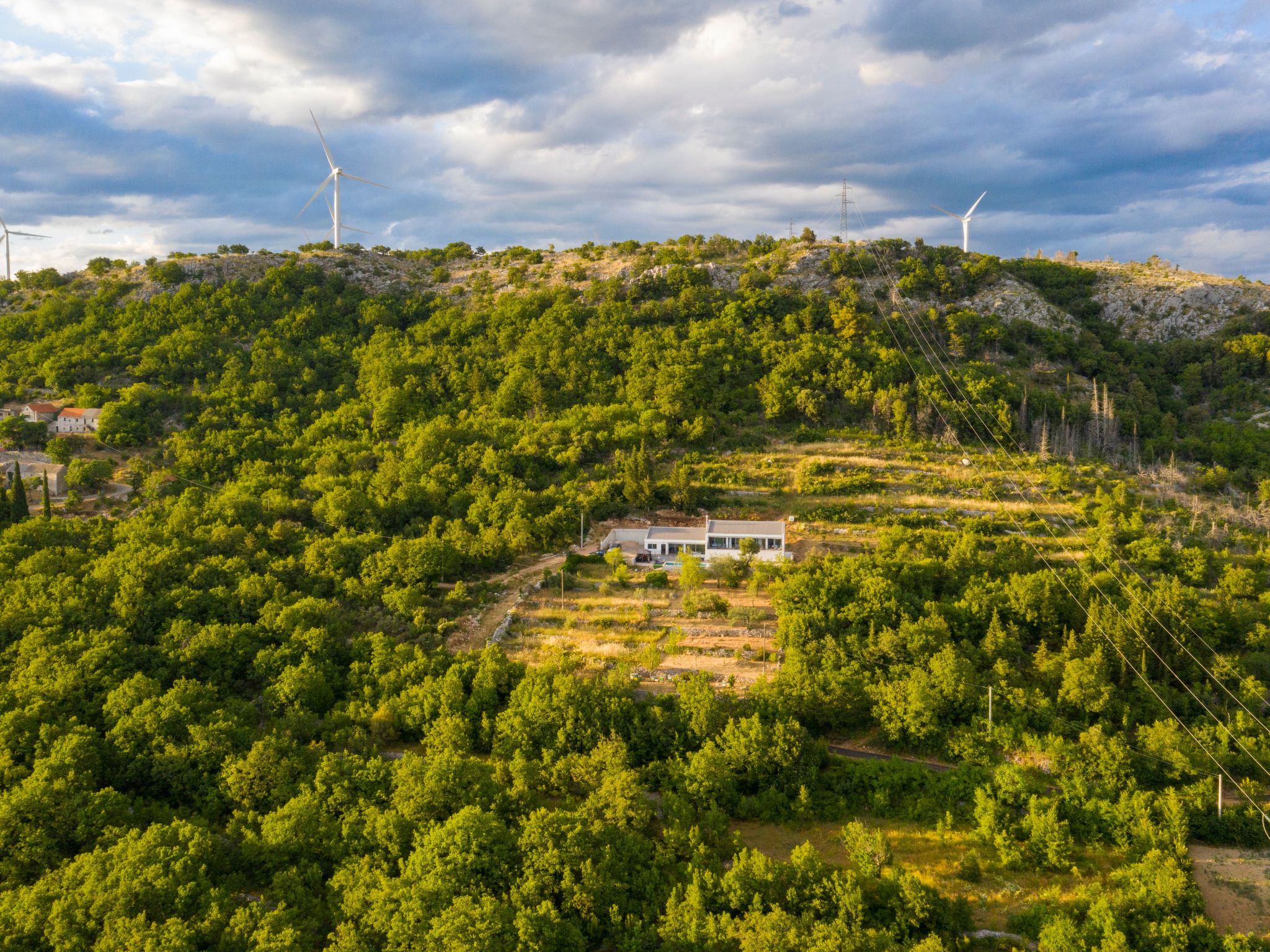 La Finca OliveTree-Binnen
