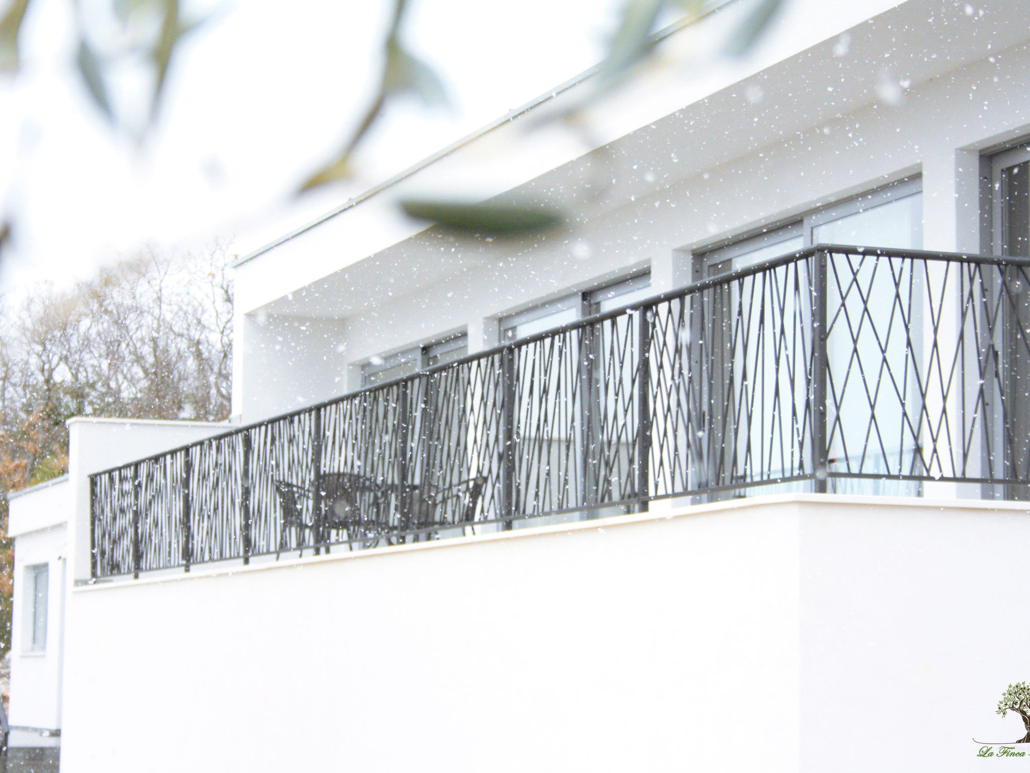 La Finca OliveTree-Binnen