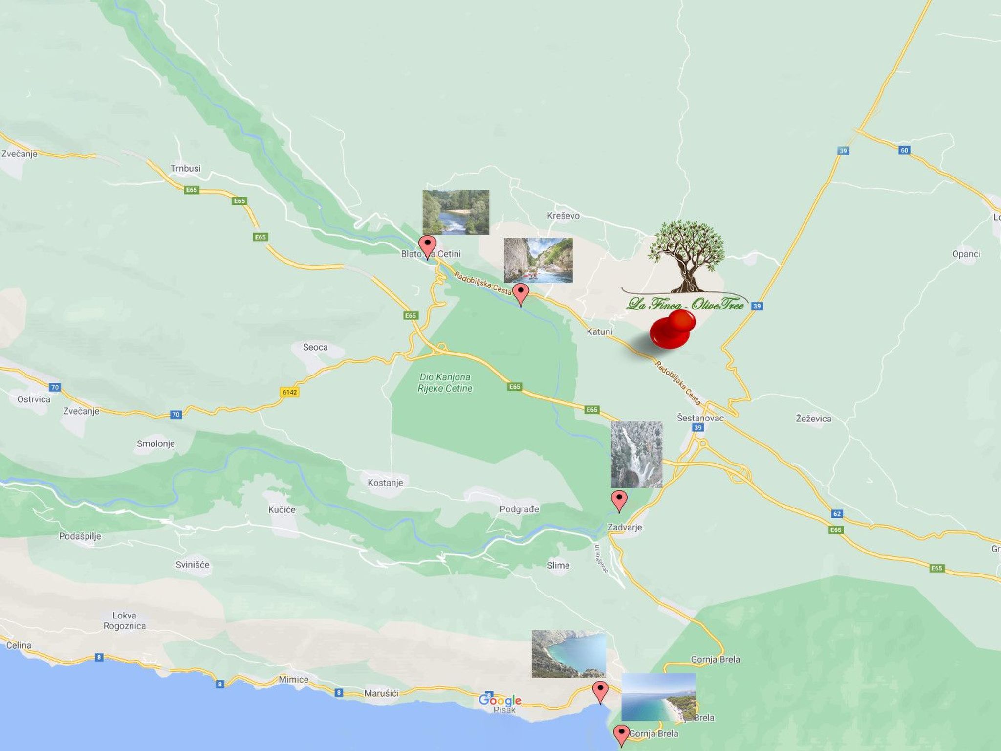 La Finca OliveTree-Binnen