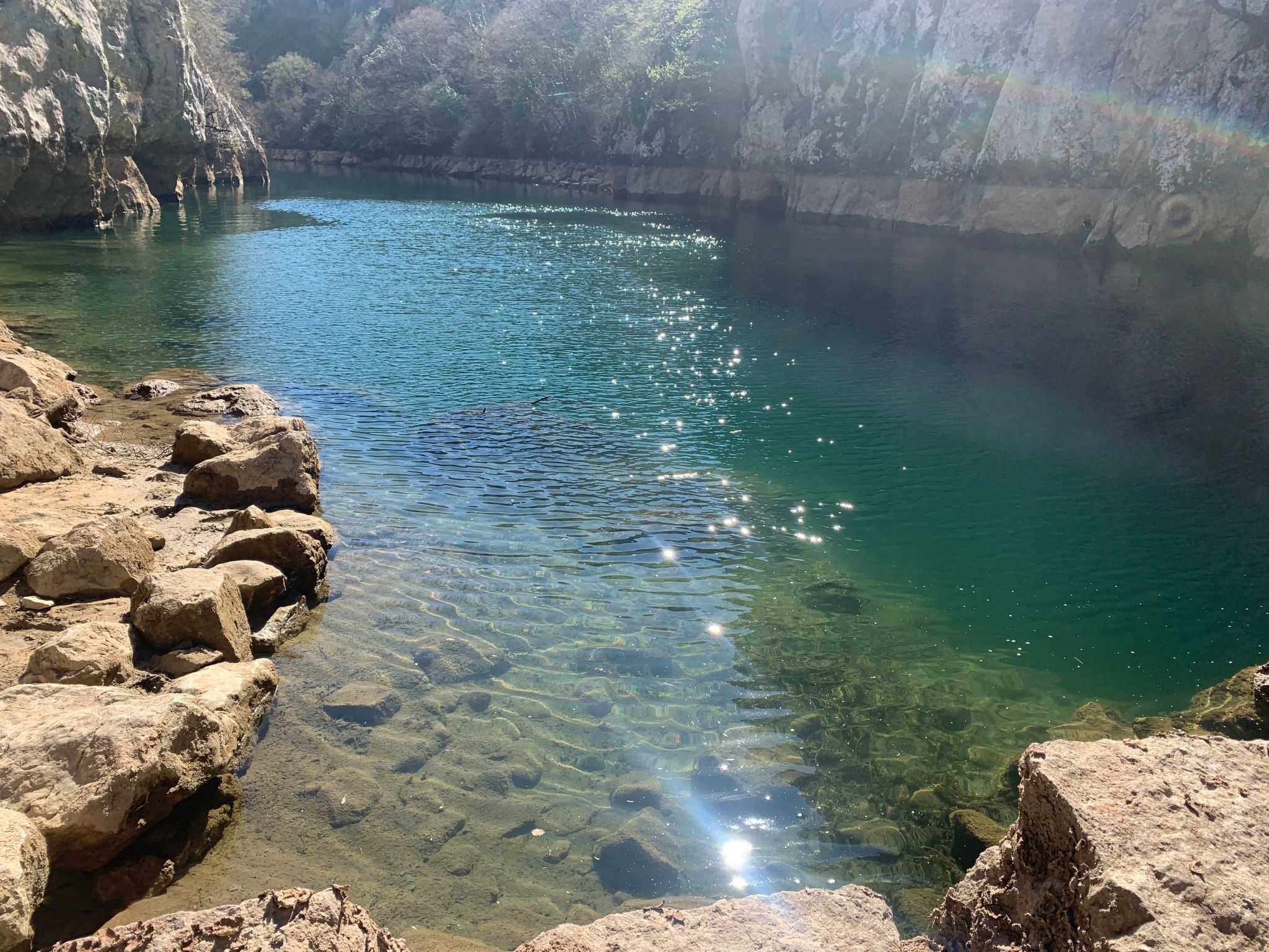 La Finca OliveTree-Binnen