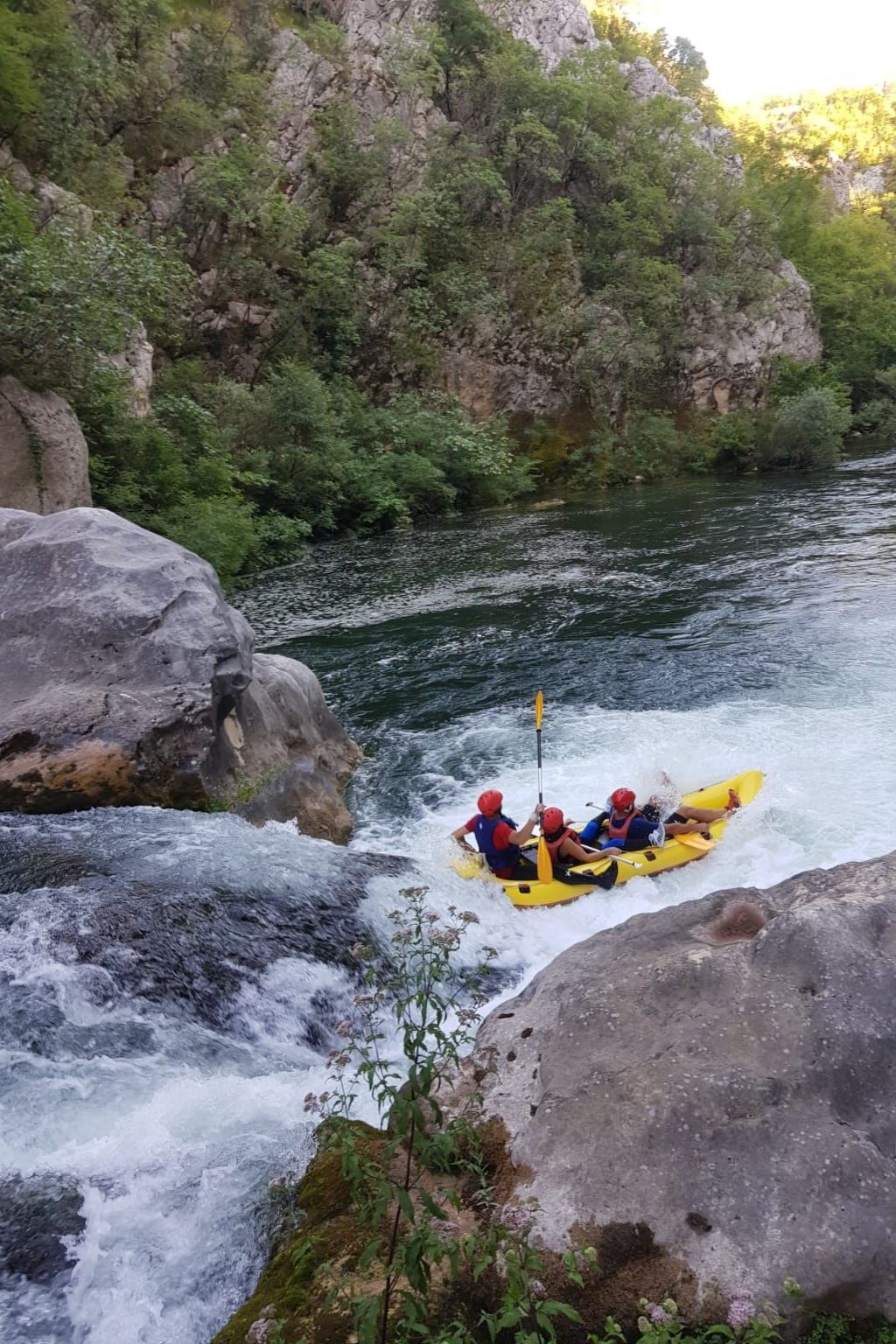 La Finca OliveTree-Binnen