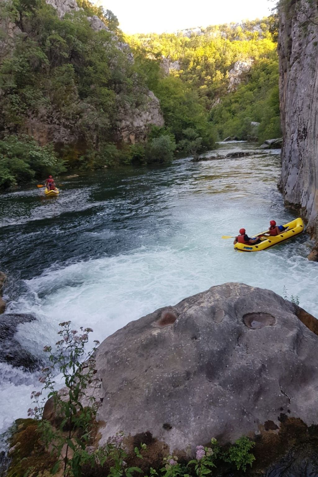 La Finca OliveTree-Binnen
