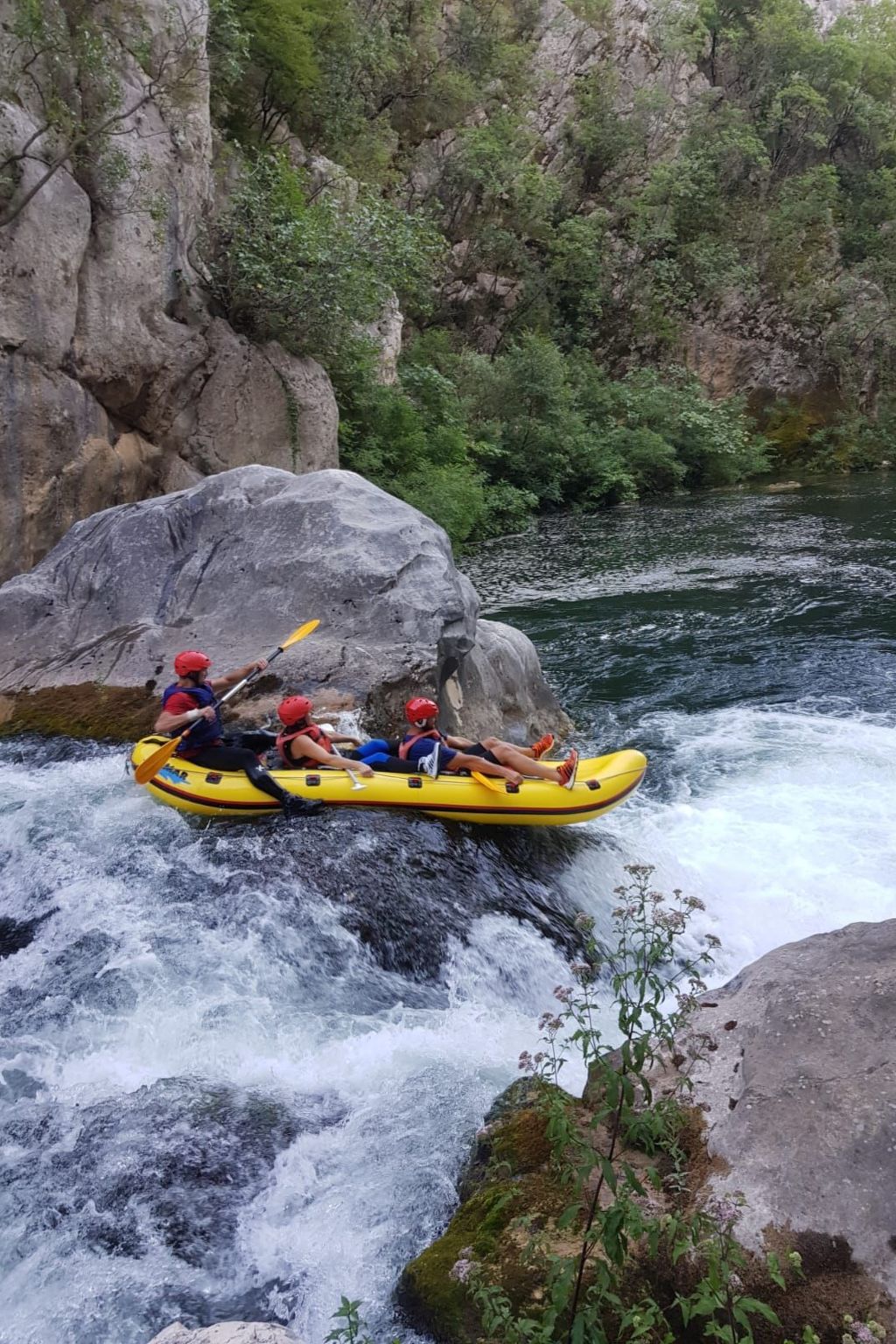 La Finca OliveTree-Binnen