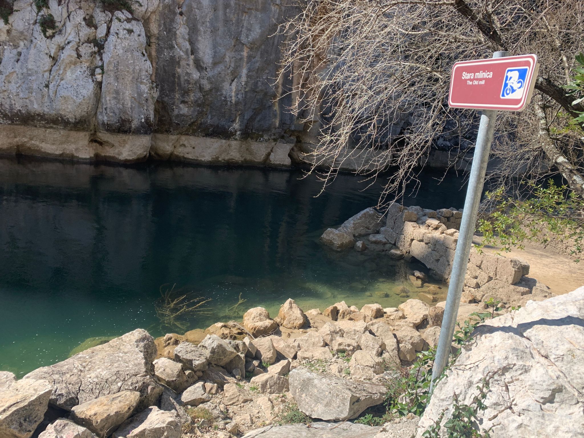 La Finca OliveTree-Binnen