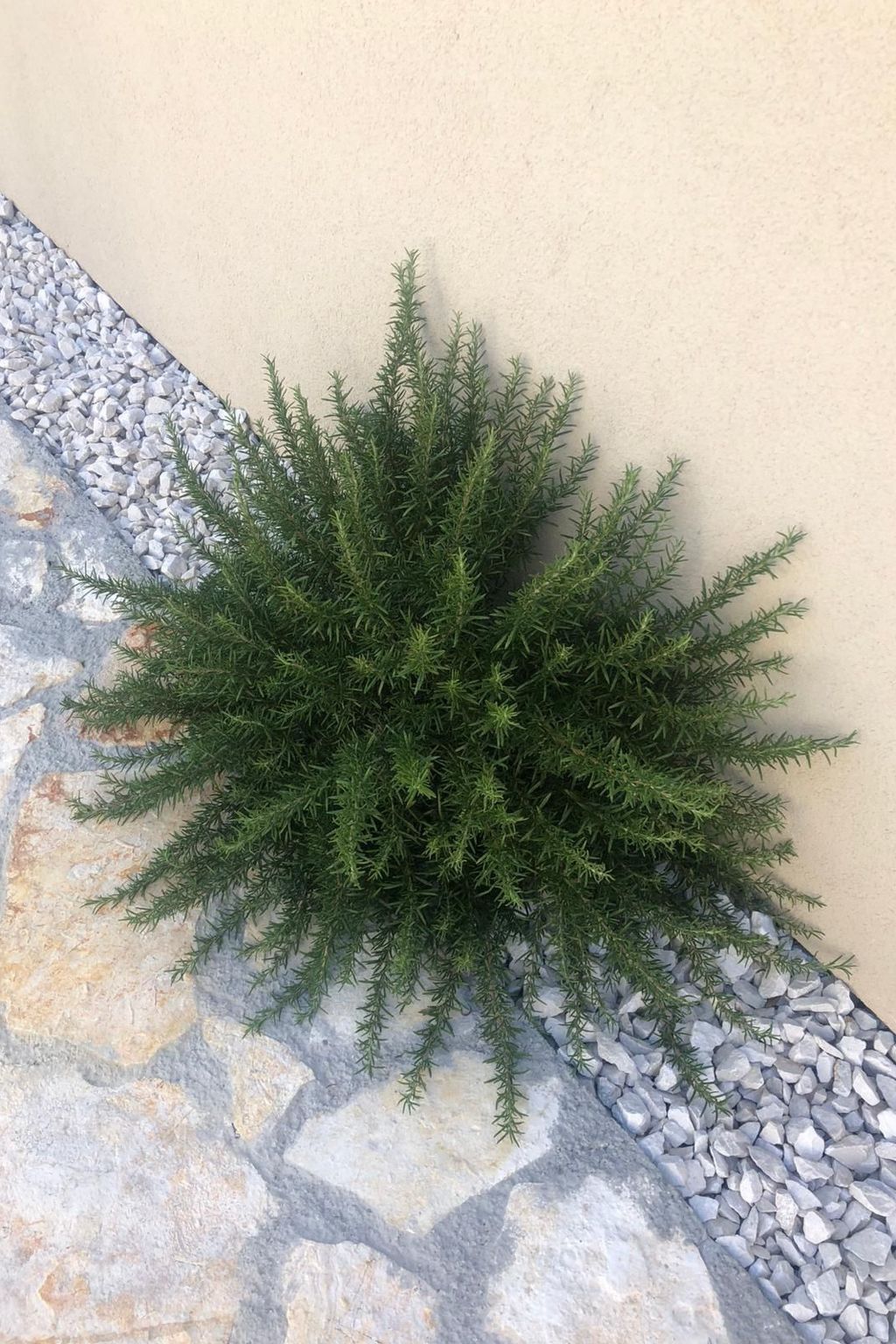 Wohnung "Olea Resort" mit Gemeinschaftspool-Binnen