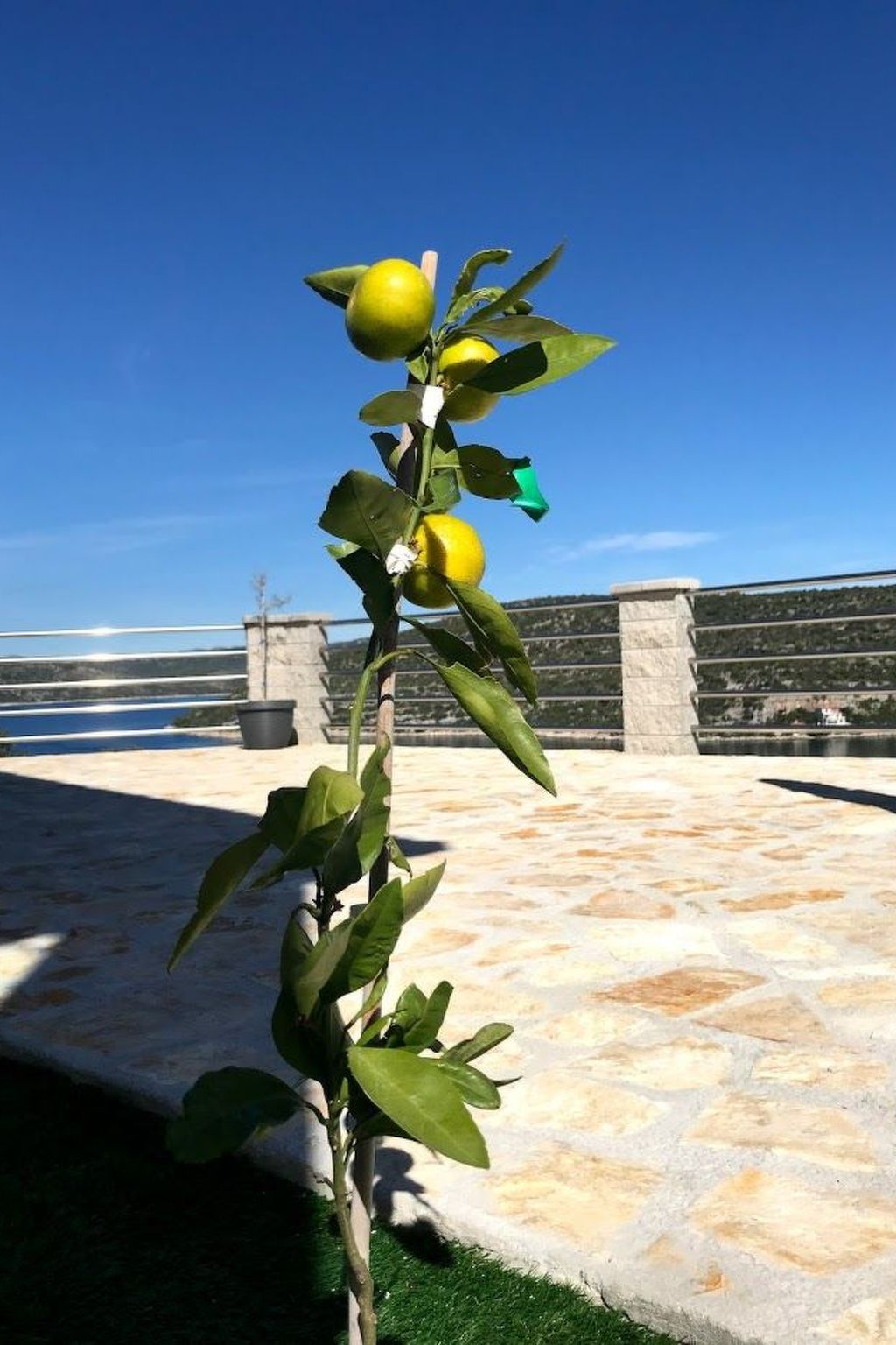 Olea Resort, Urlaub auf einer unberührten Paradiesinsel - Image-tags.info