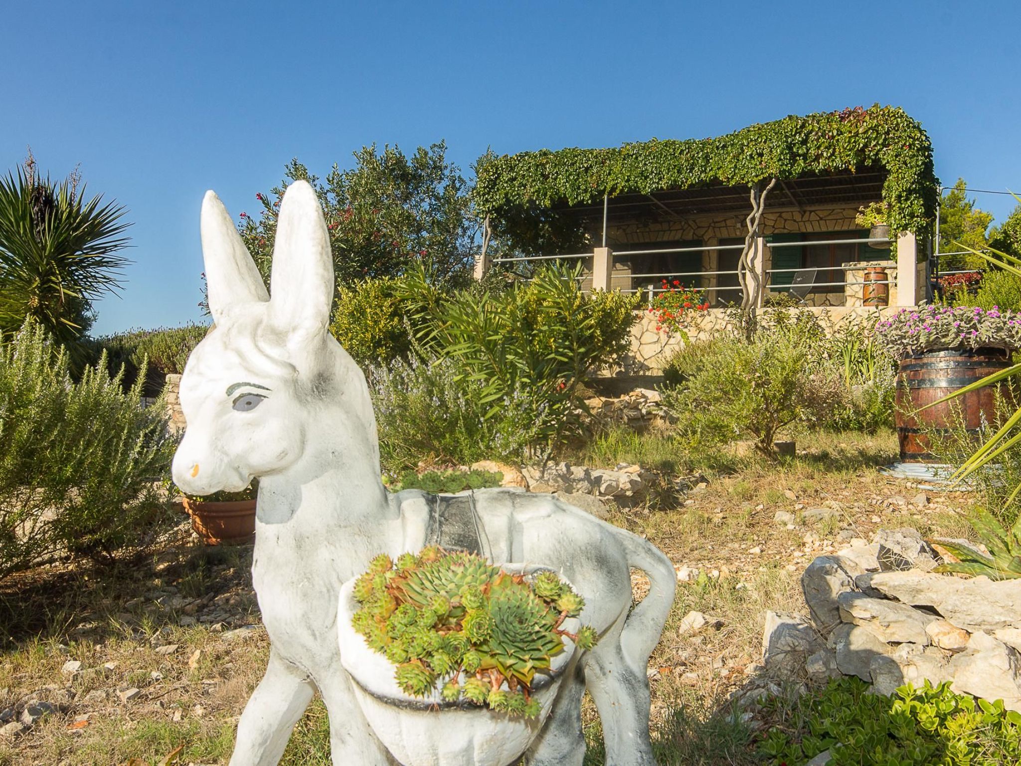 "Mirta" direkt am Strand-Drinnen