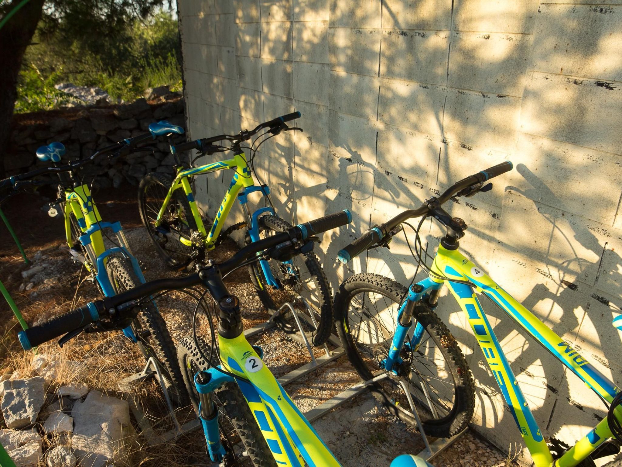 In Maslinica mit Großer Terrasse-Drinnen