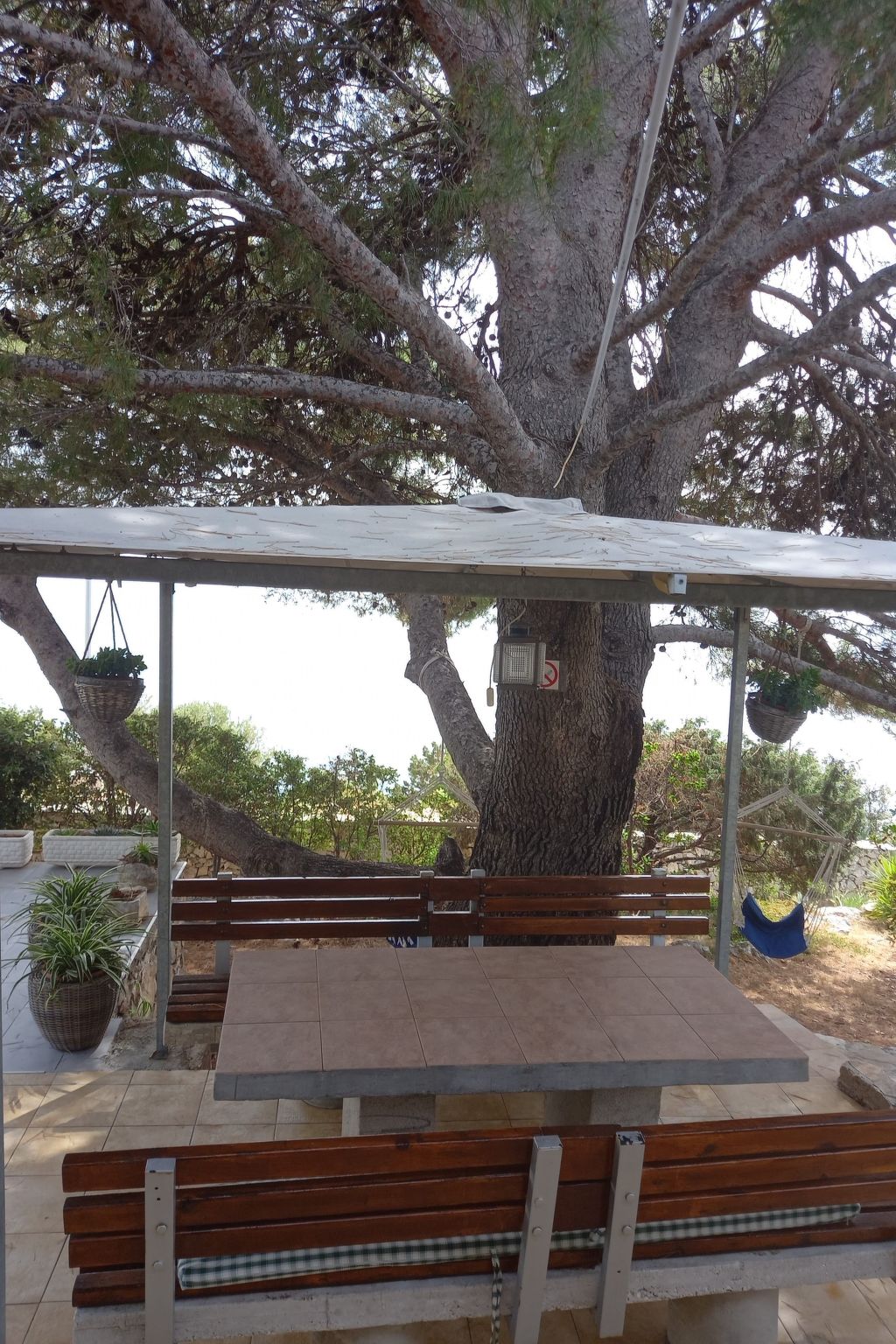 In Maslinica mit Großer Terrasse