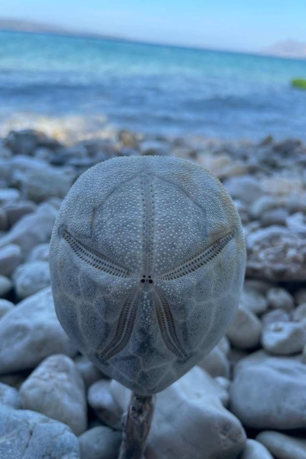 Direkt am Strand-Image-tags.info