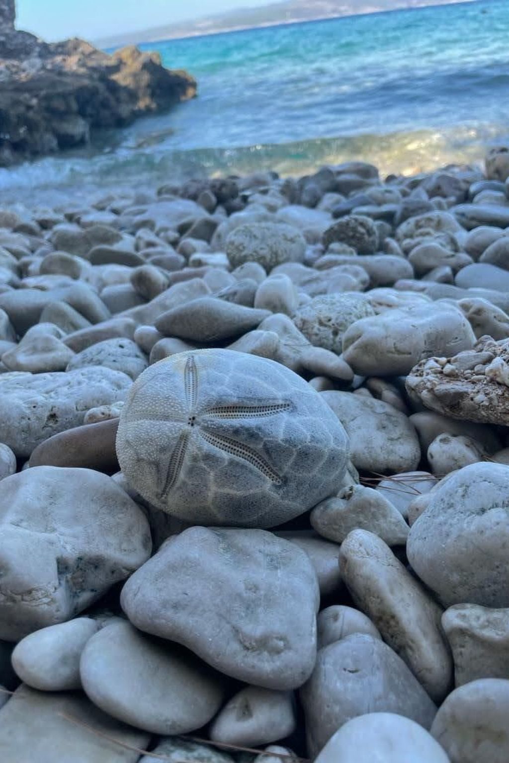 Direkt am Strand-Image-tags.info